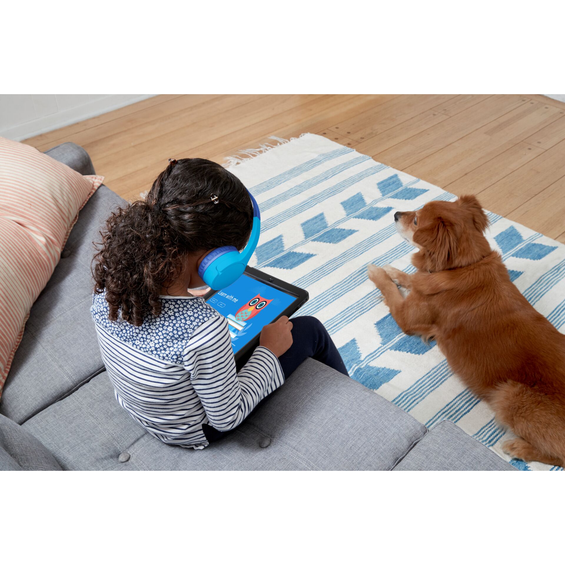 Dekoration für Zuhause, Person, Innenarchitektur, Tablet-Computer, Hund