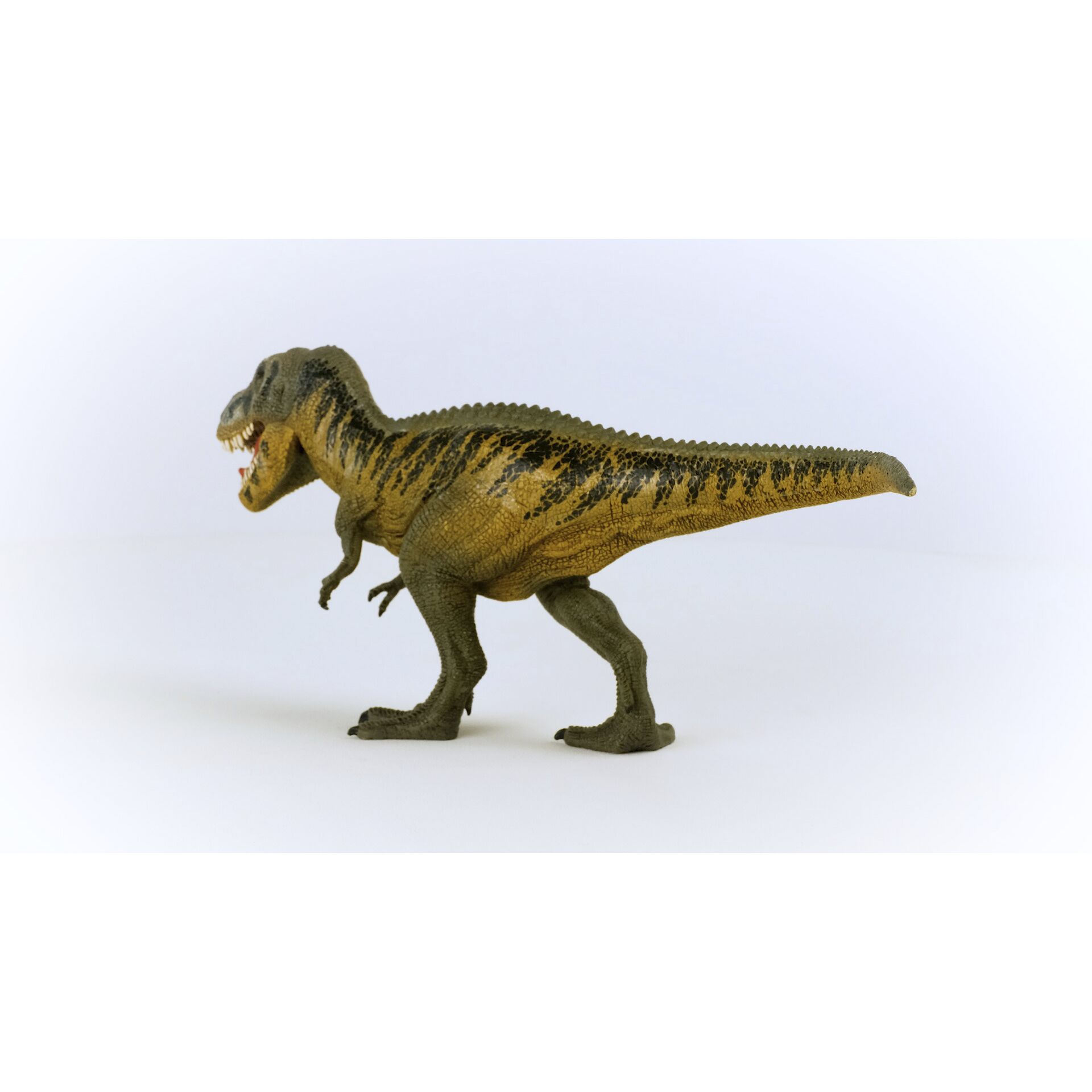 Tier, Dinosaurier, Reptil, T-Rex