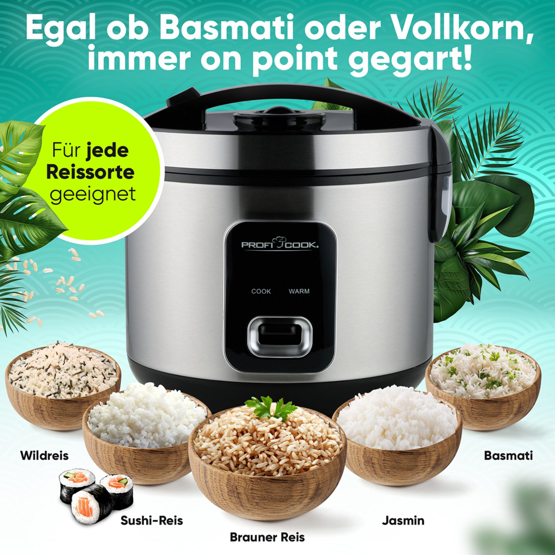 Gerät, Kocher, Elektrisches Gerät, Langsamer Kocher
