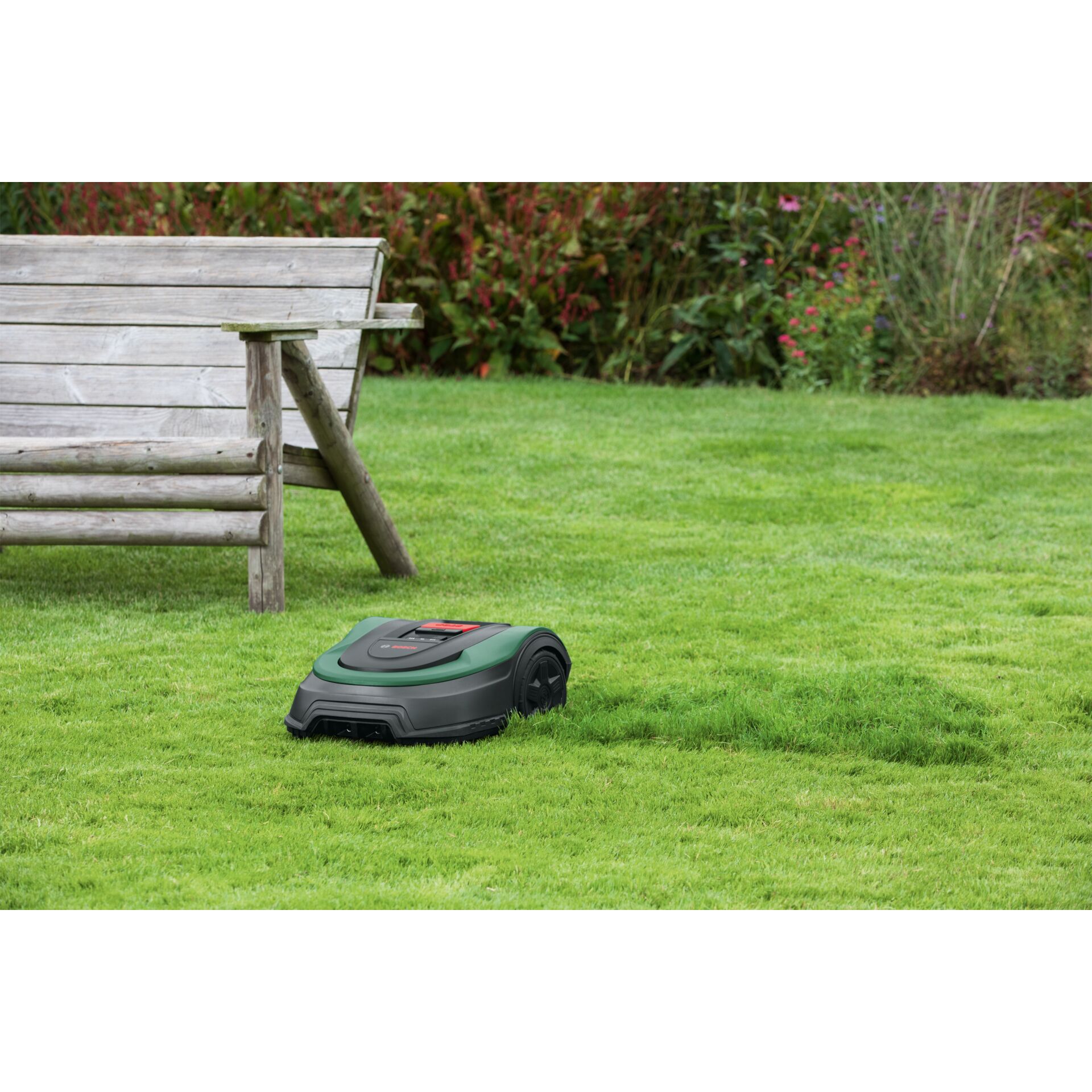 Gras, Rasen, Pflanze, Gerät, Rasenmäher