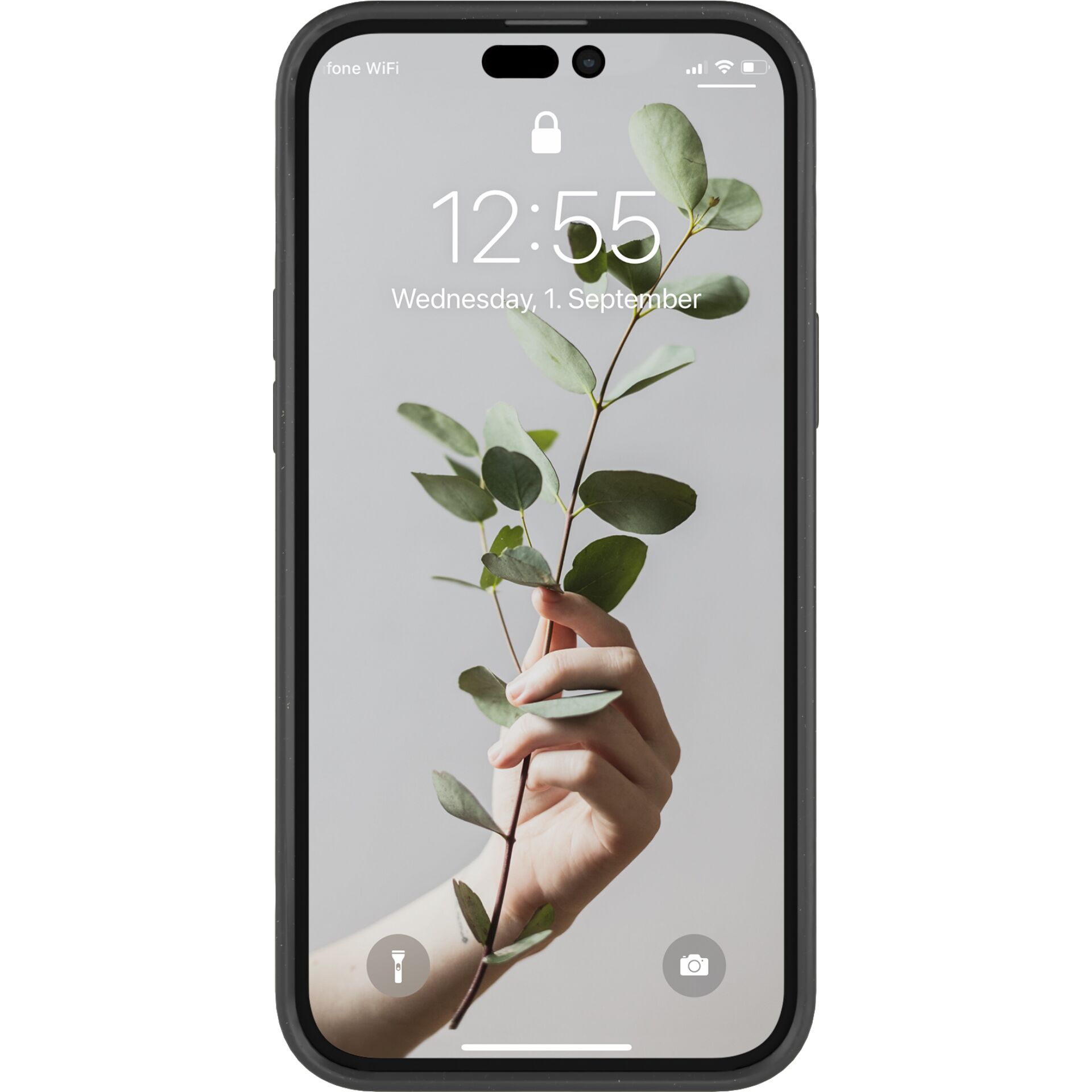Elektronik, Handy, Telefon, iPhone