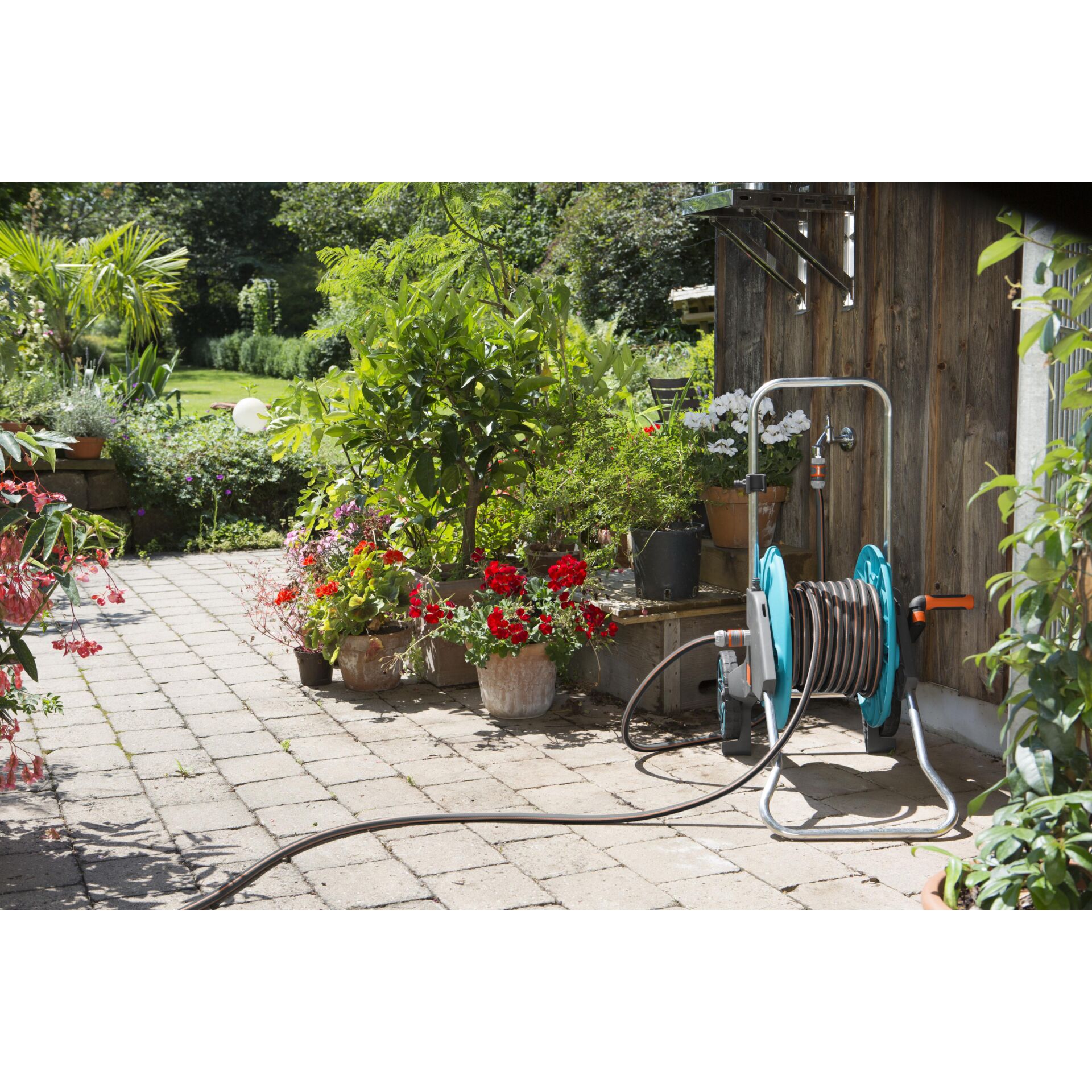 Pfad, Gehweg, Garten, Hinterhof, Topfpflanze