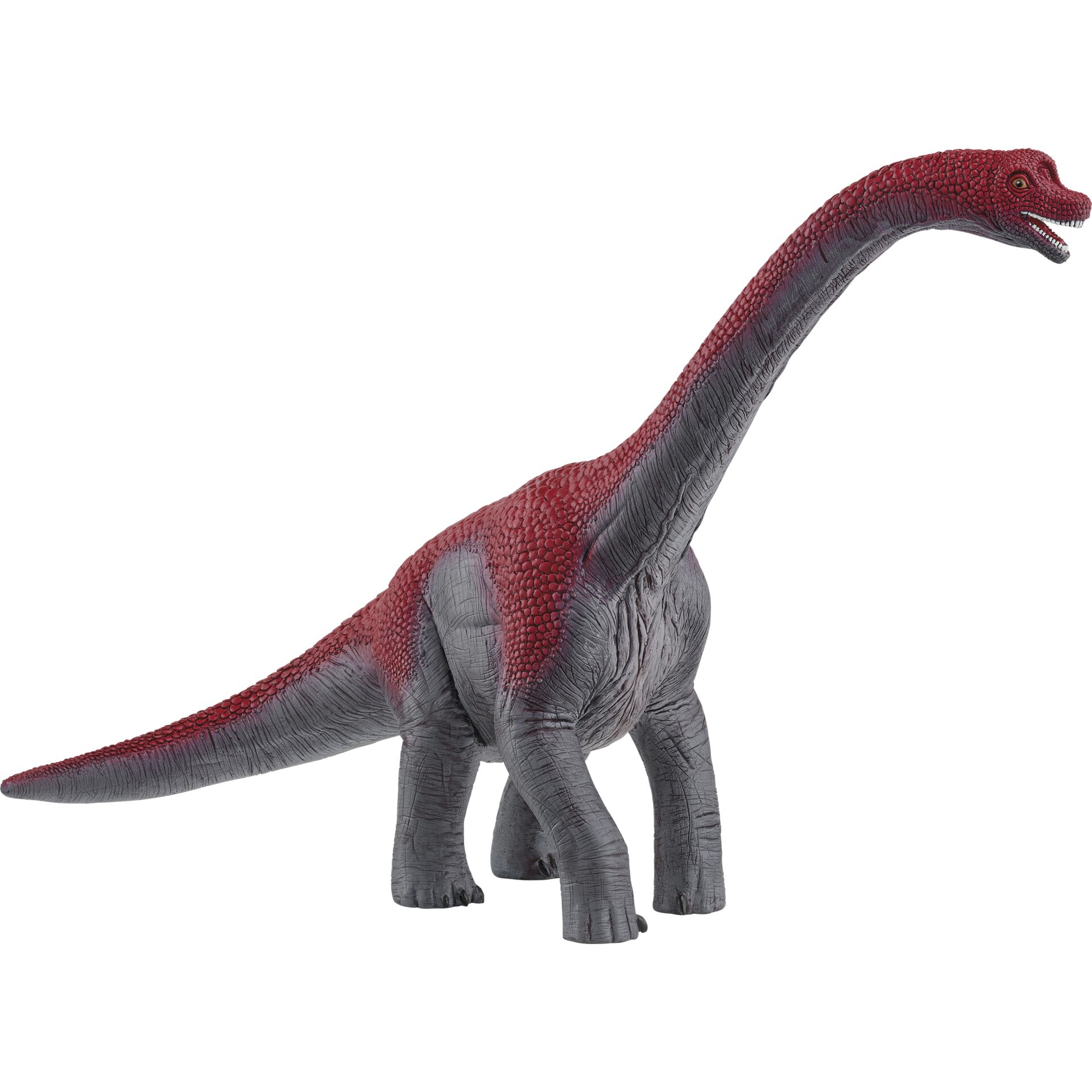 Tier, Dinosaurier, Reptil, T-Rex