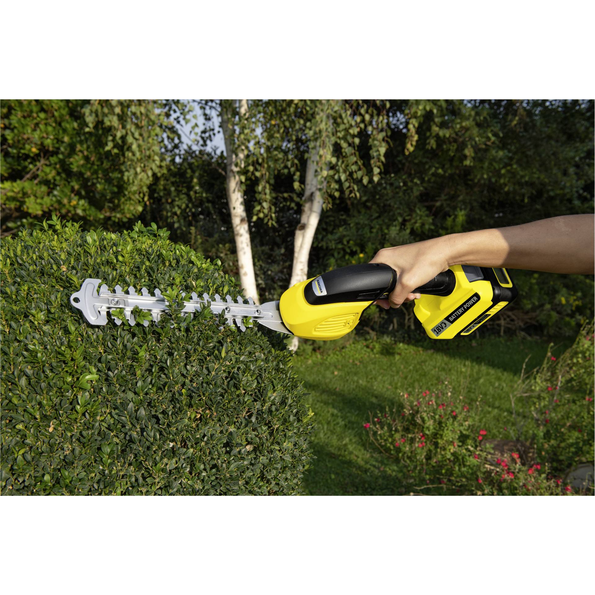 Gras, Garten, Hecke, Elektrische Bohrmaschine, Innenarchitektur