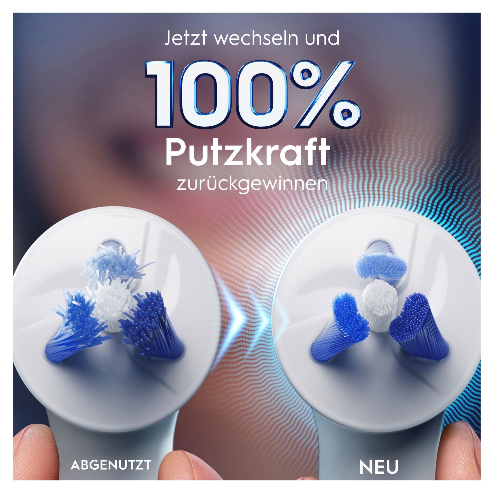 Pinsel, Gerät, Werkzeug, Teller