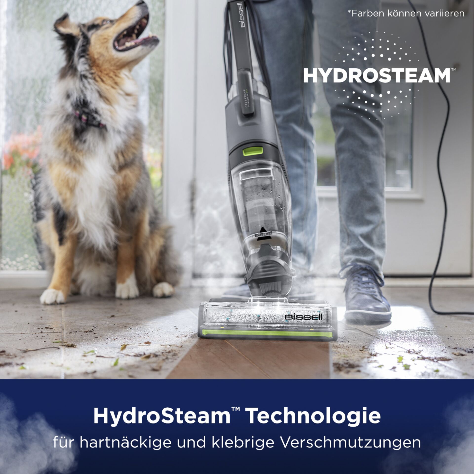 Hund, Gerät, Elektrisches Gerät, Person