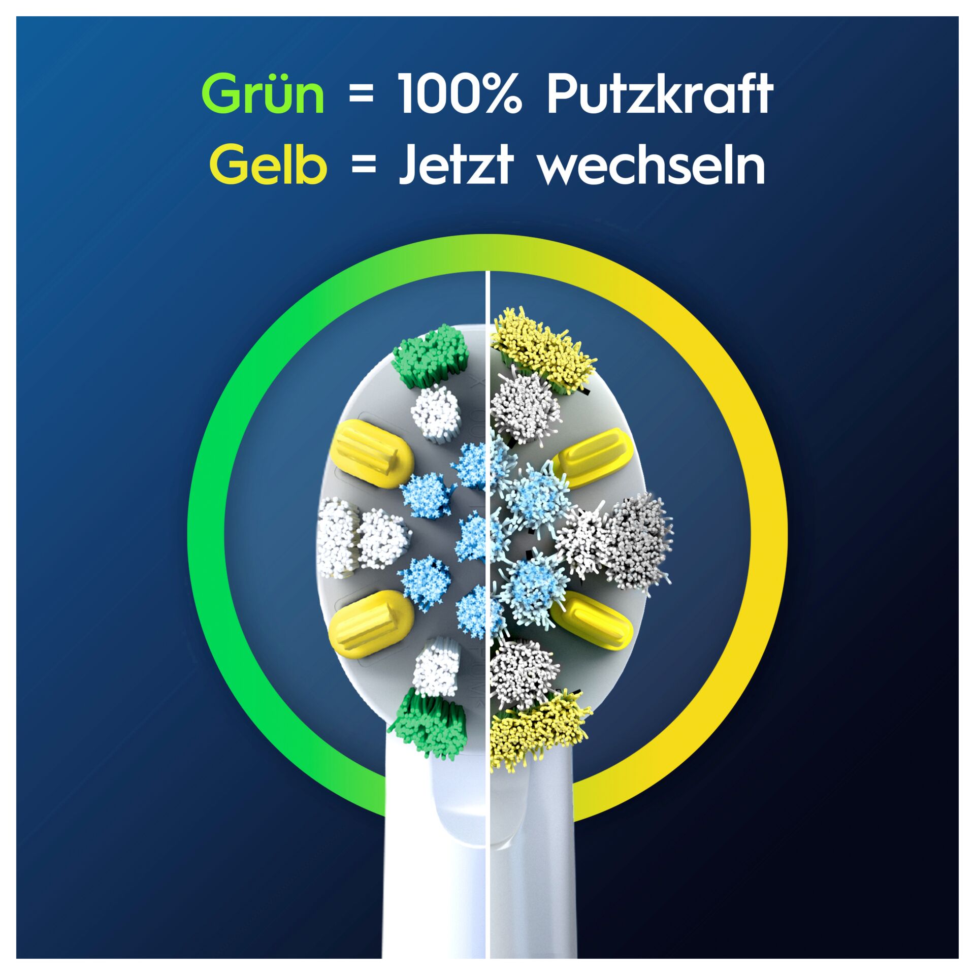 Pinsel, Gerät, Werkzeug
