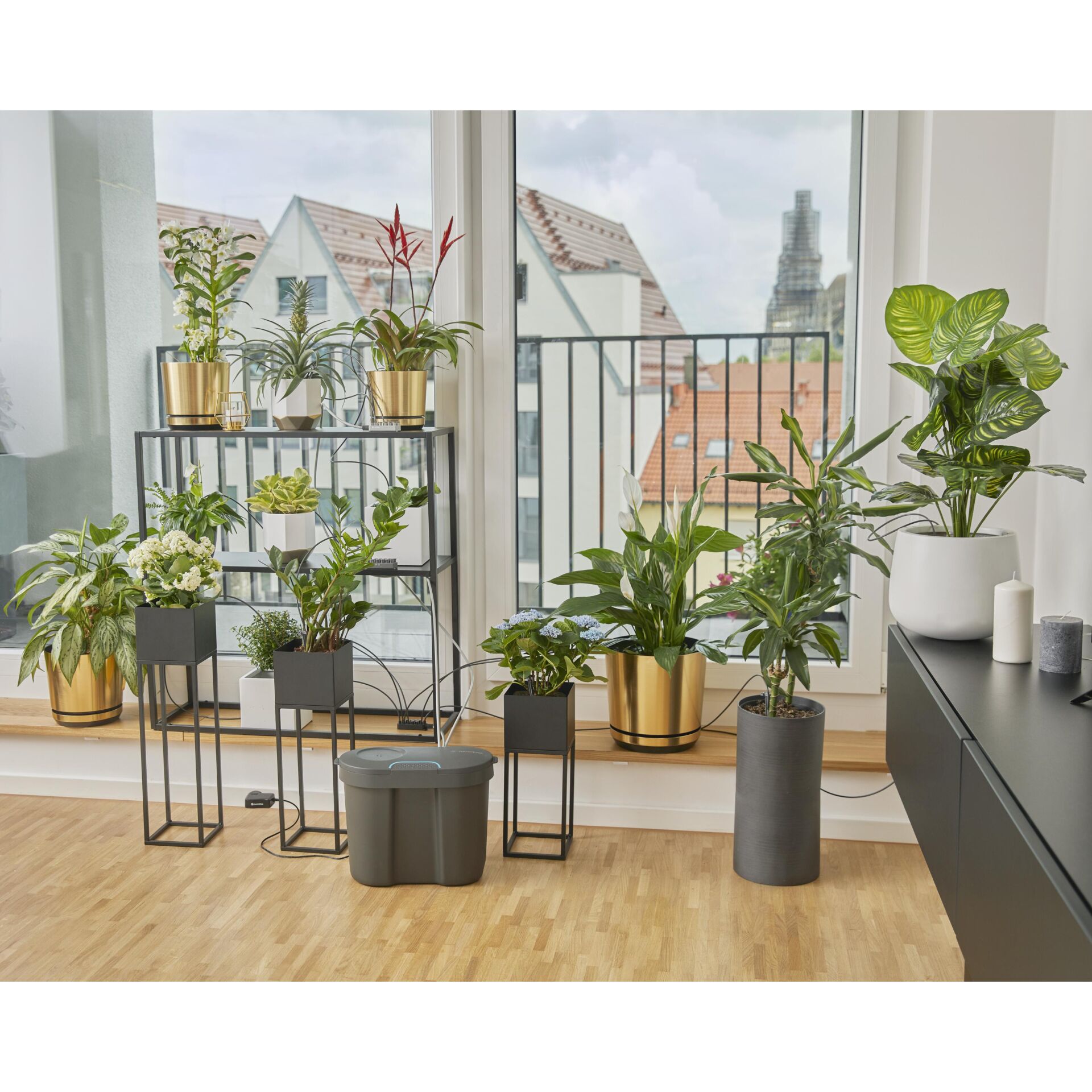 Balkon, Gebäude, Pflanze, Pflanze im Topf, Innenarchitektur