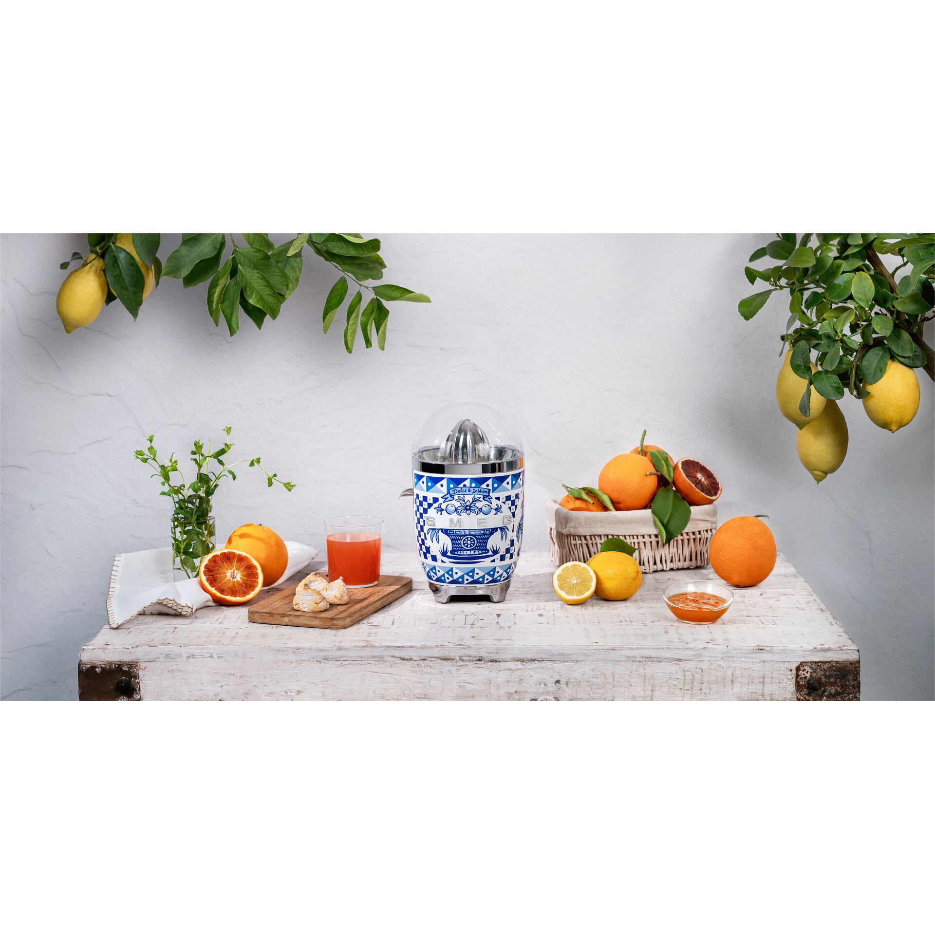 Zitrusfrucht, Obst, Zitrone, Grapefruit, Orange, Zitrusfrucht, Obst, Grapefruit, Zitrone, Orange, Zitrusfrucht, Obst, Grapefruit, Zitrone, Orange, Zitrusfrucht, Obst, Grapefruit, Zitrone, Orange, Zitrusfrucht, Obst, Grapefruit, Zitrone, Orange