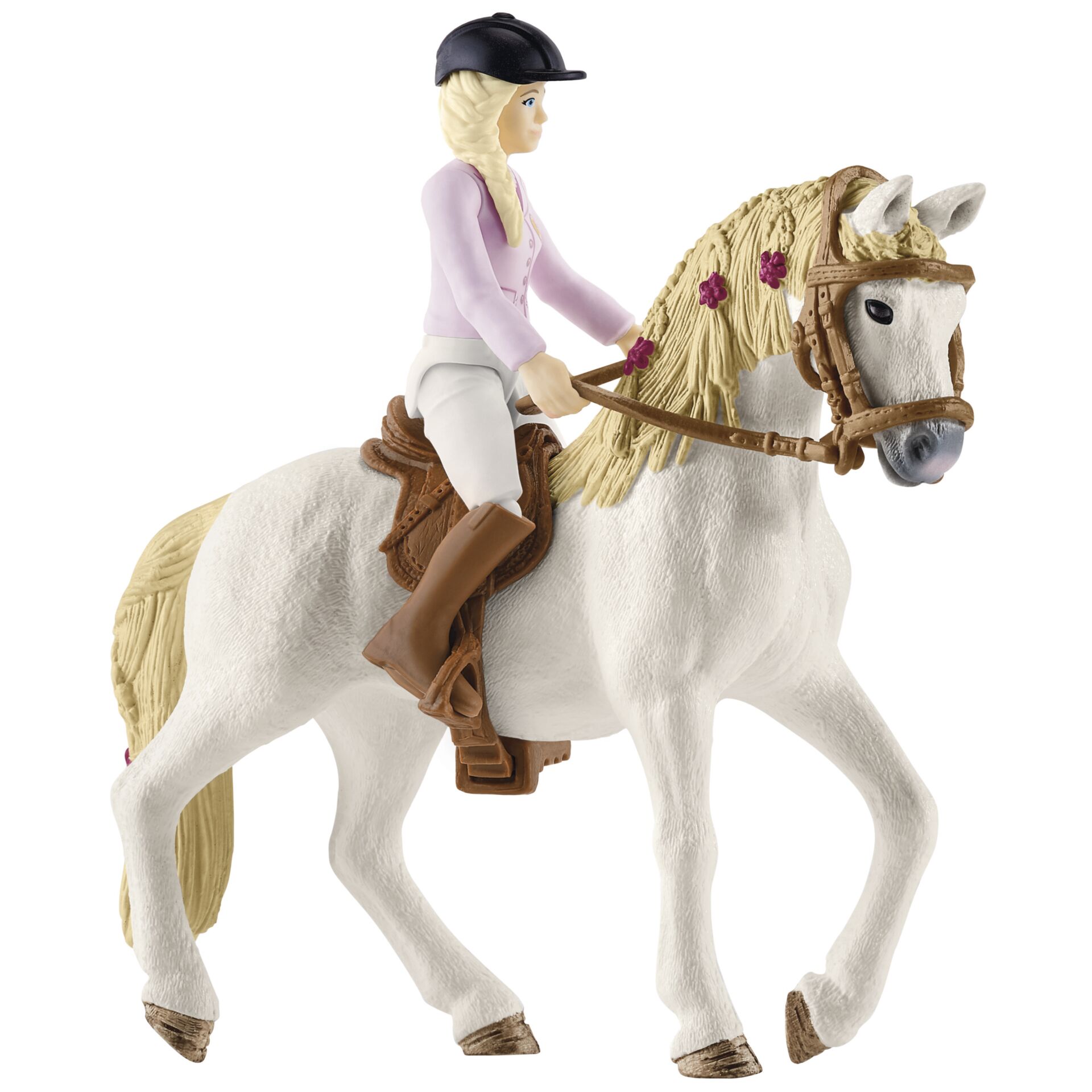 Person, Tier, Pferd, Säugetier