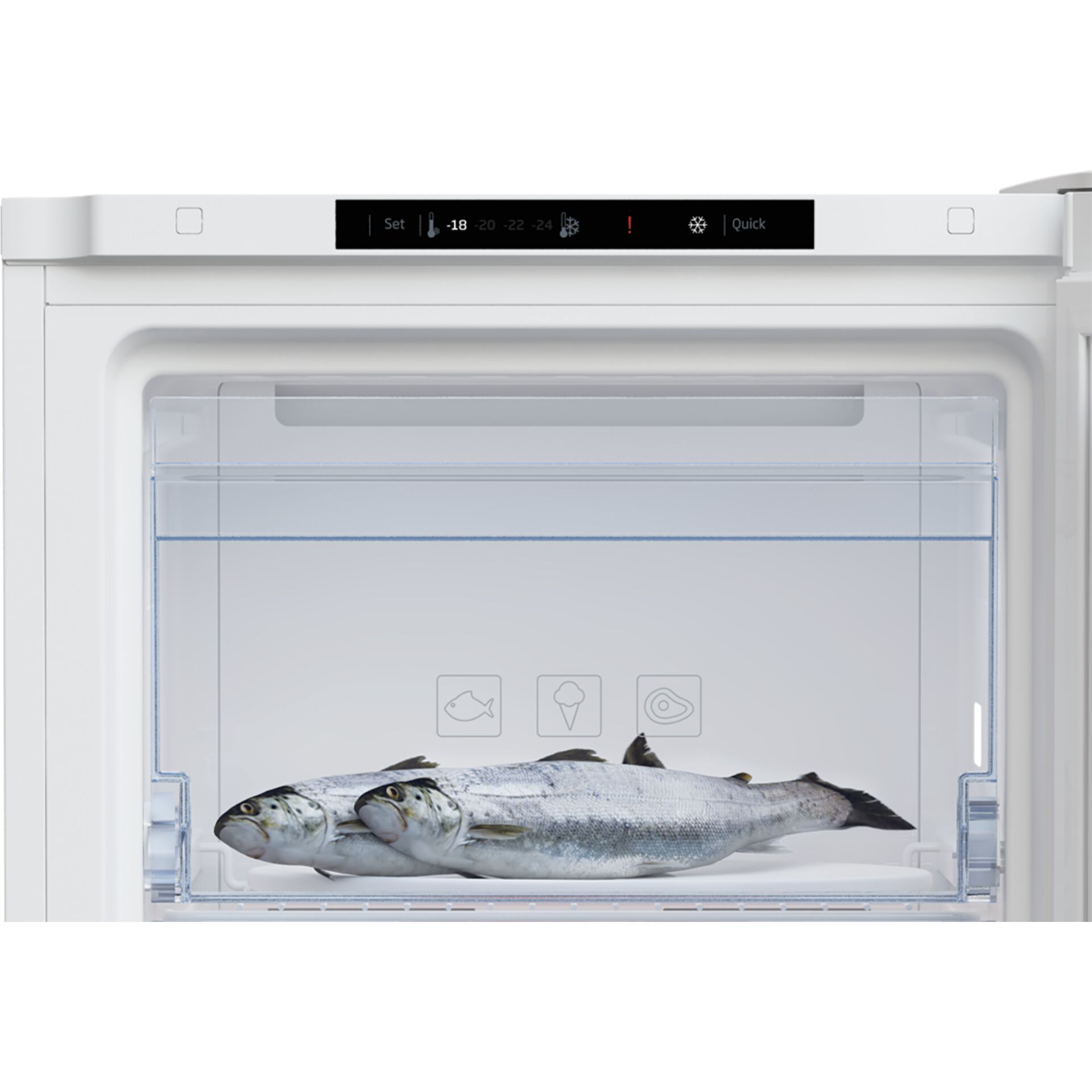 Gerät, Fische, Leben im Meer, Elektrisches Gerät