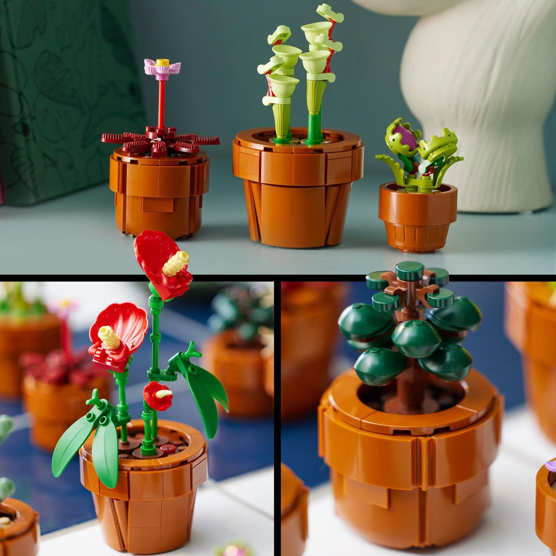 Topfpflanze, Krug, Pflanzgefäß, Blume, Blumen-Arrangement