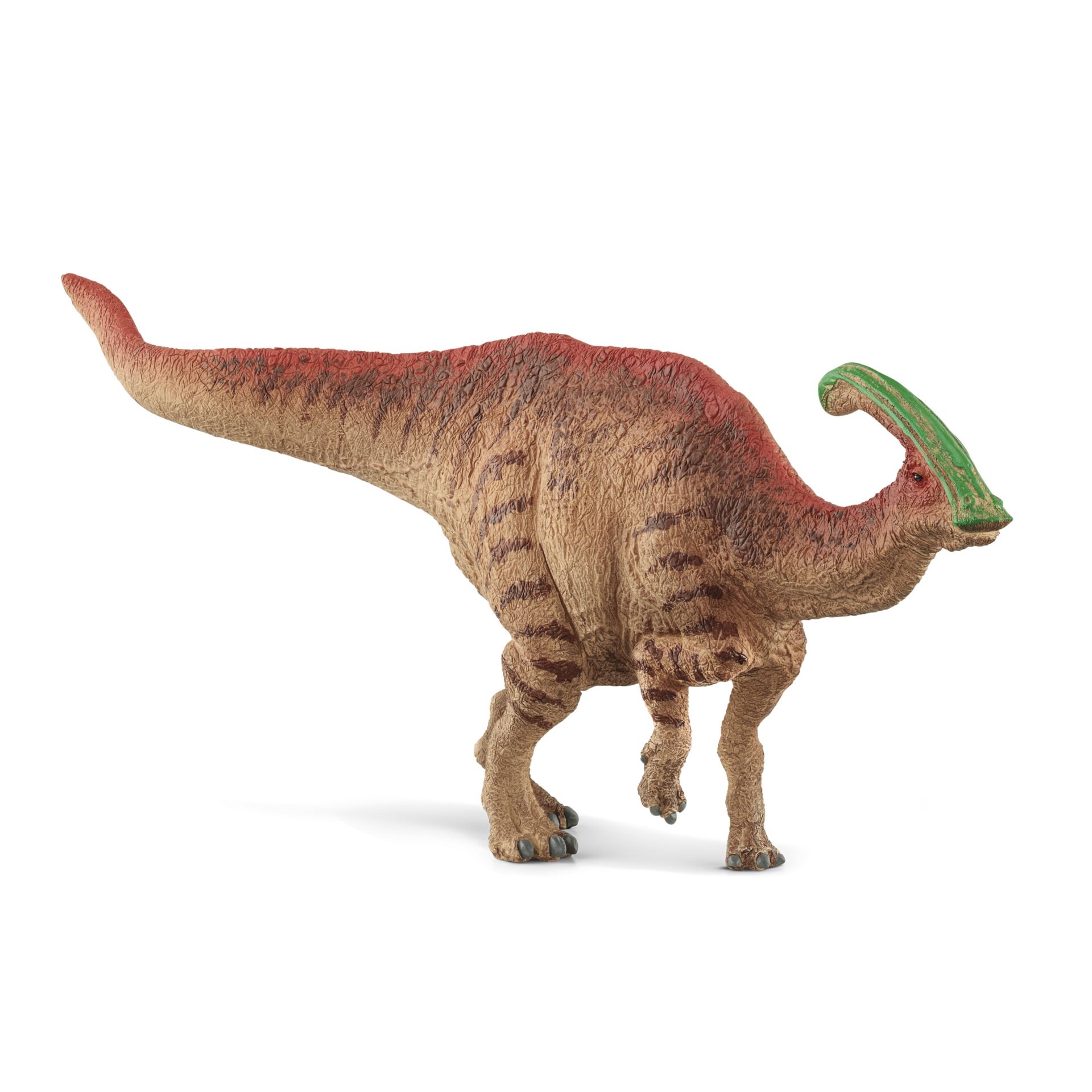 Tier, Dinosaurier, Reptil, T-Rex