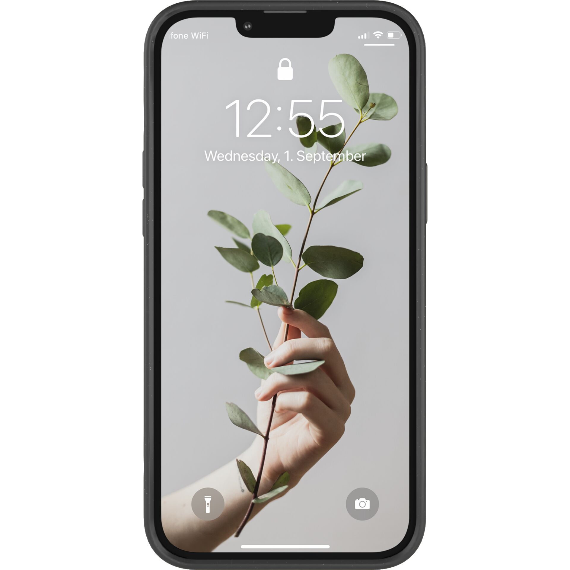 Elektronik, Handy, Telefon, iPhone