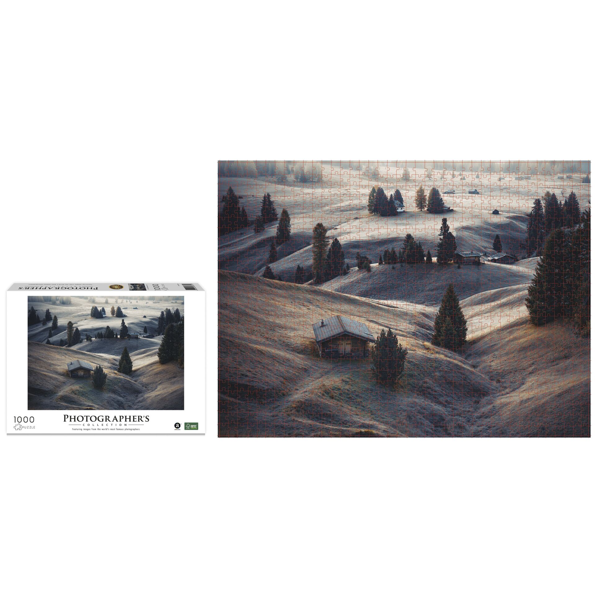 Draußen, Baum, Natur, Szenerie, Person