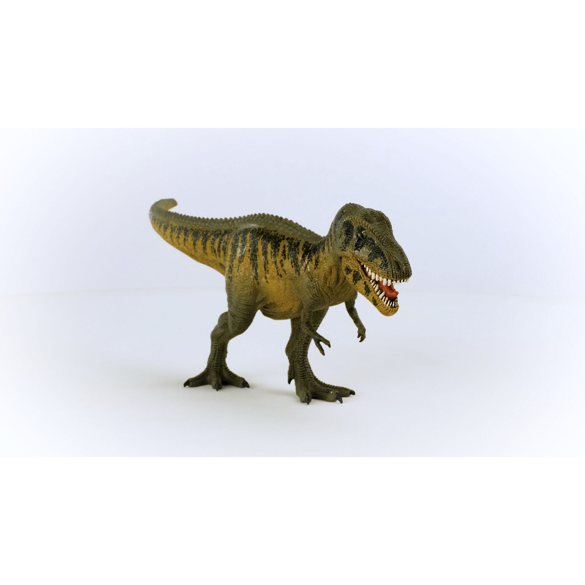 Tier, Dinosaurier, Reptil, T-Rex