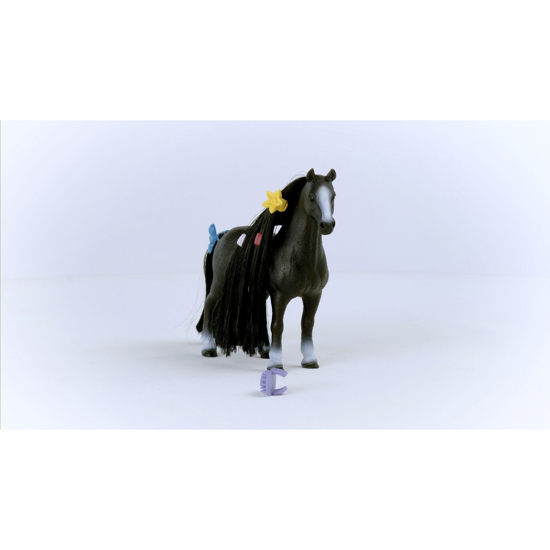 Andalusisches Pferd, Tier, Pferd, Säugetier