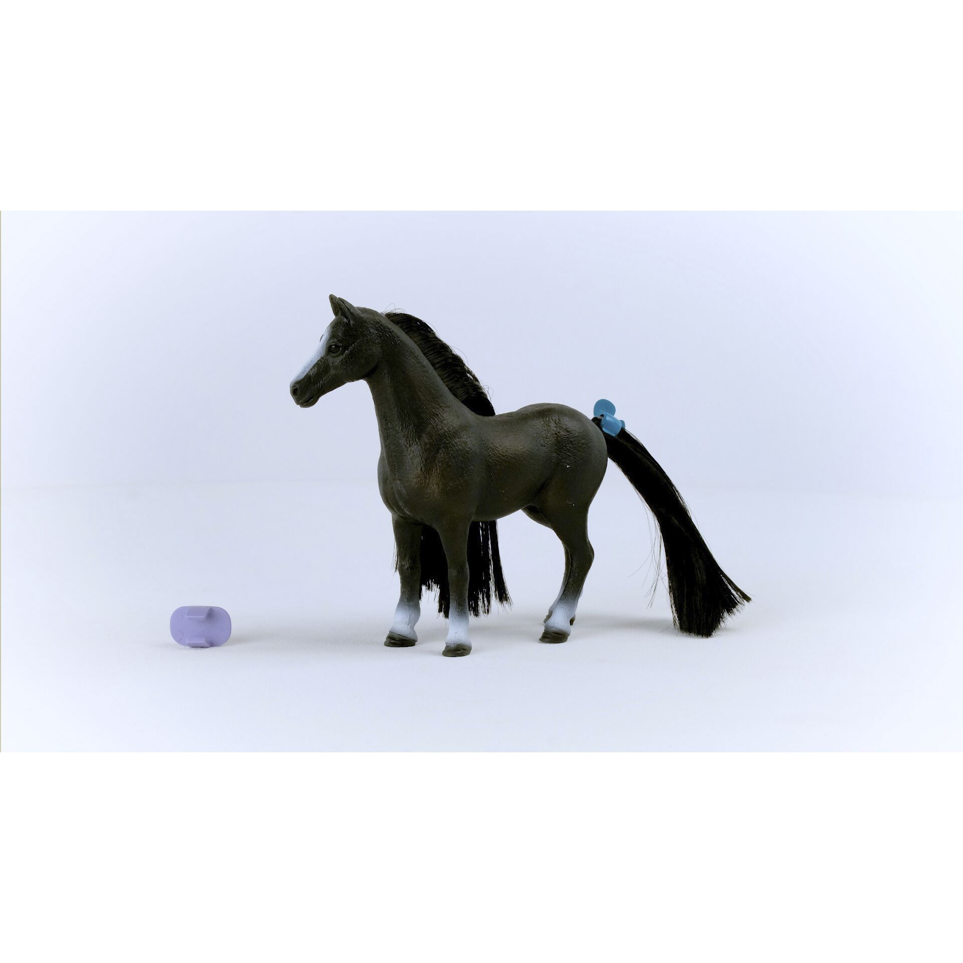 Andalusisches Pferd, Tier, Pferd, Säugetier, Colt Horse