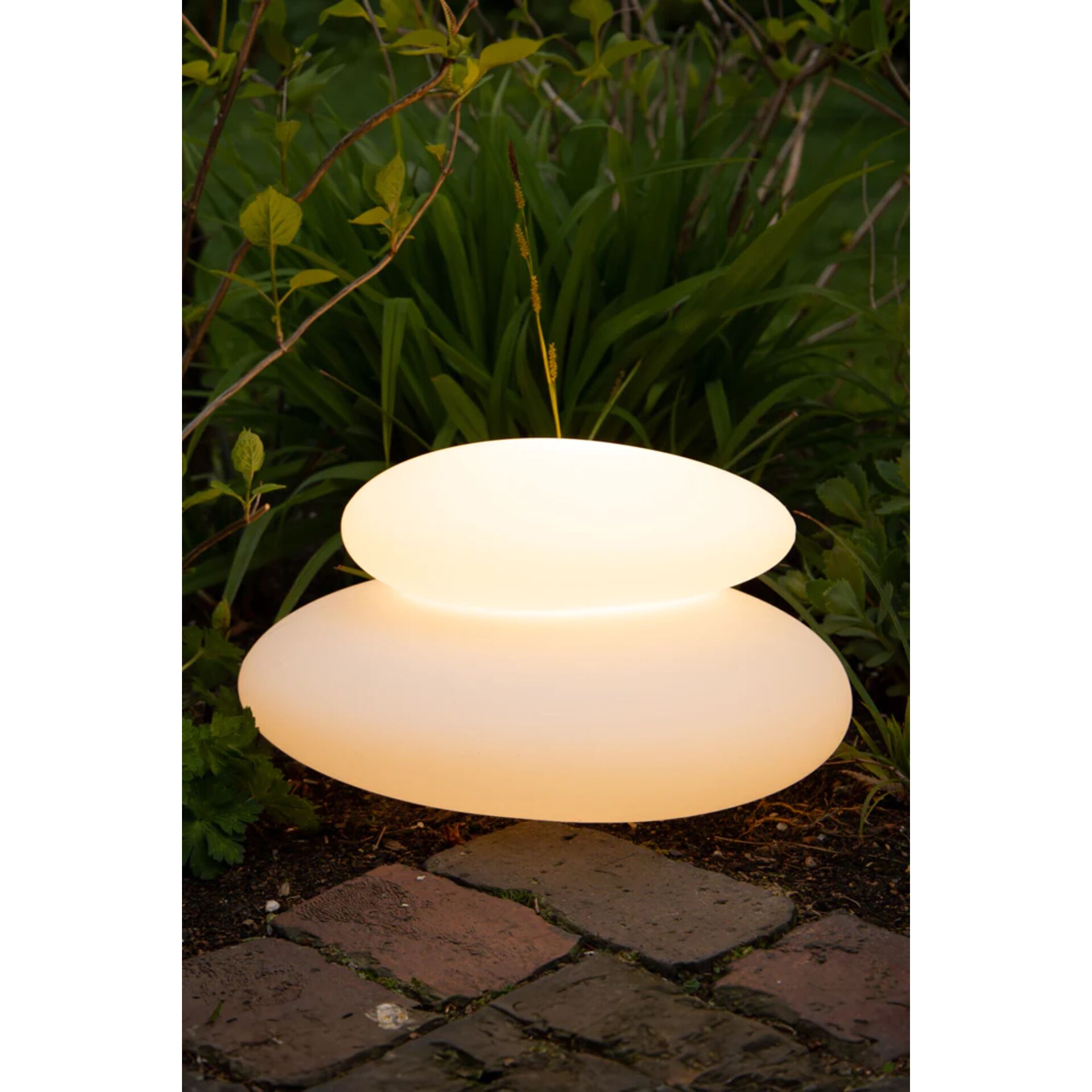 Lampe, Pflanze