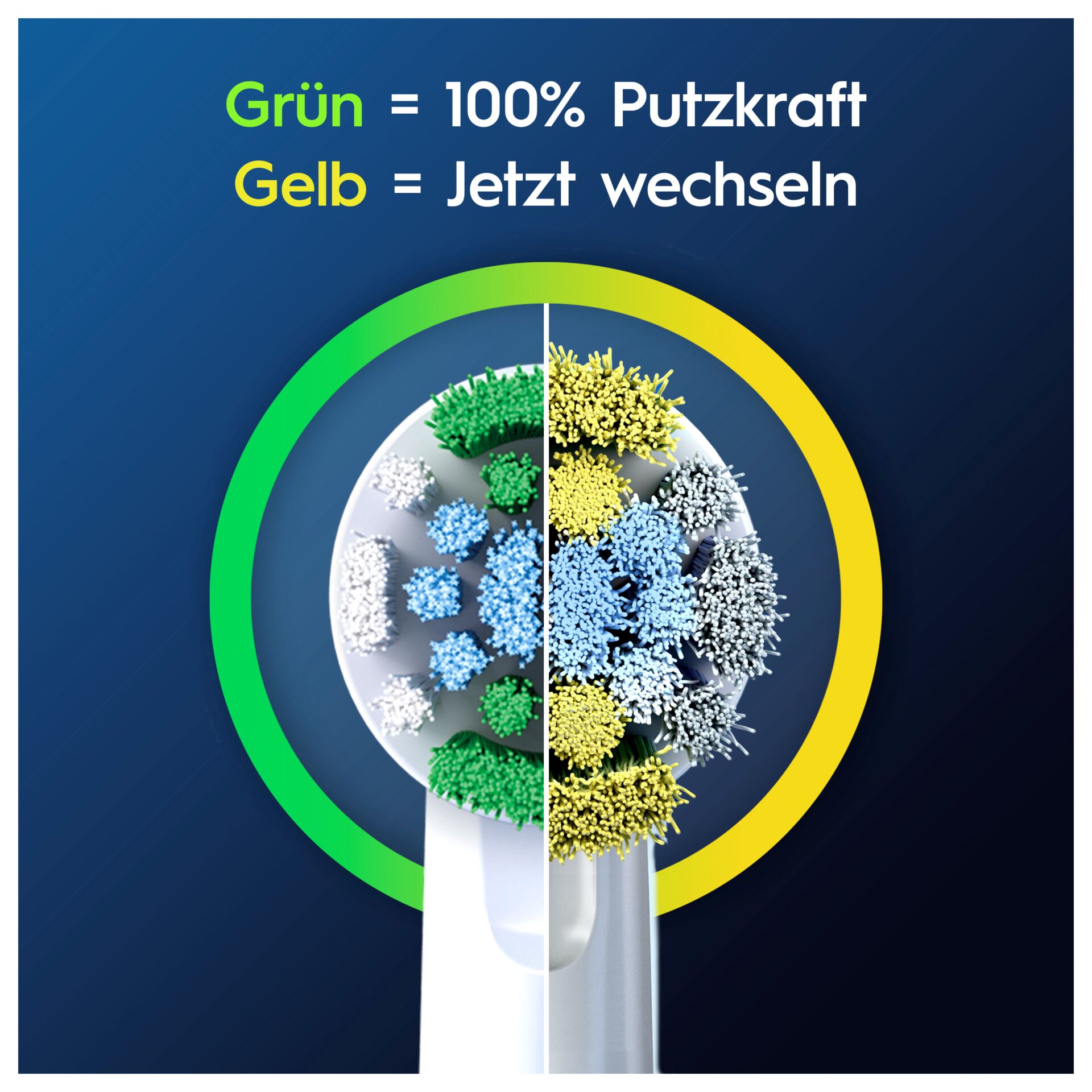 Grafiken, Florales Design, Muster, Werbung, Plakat