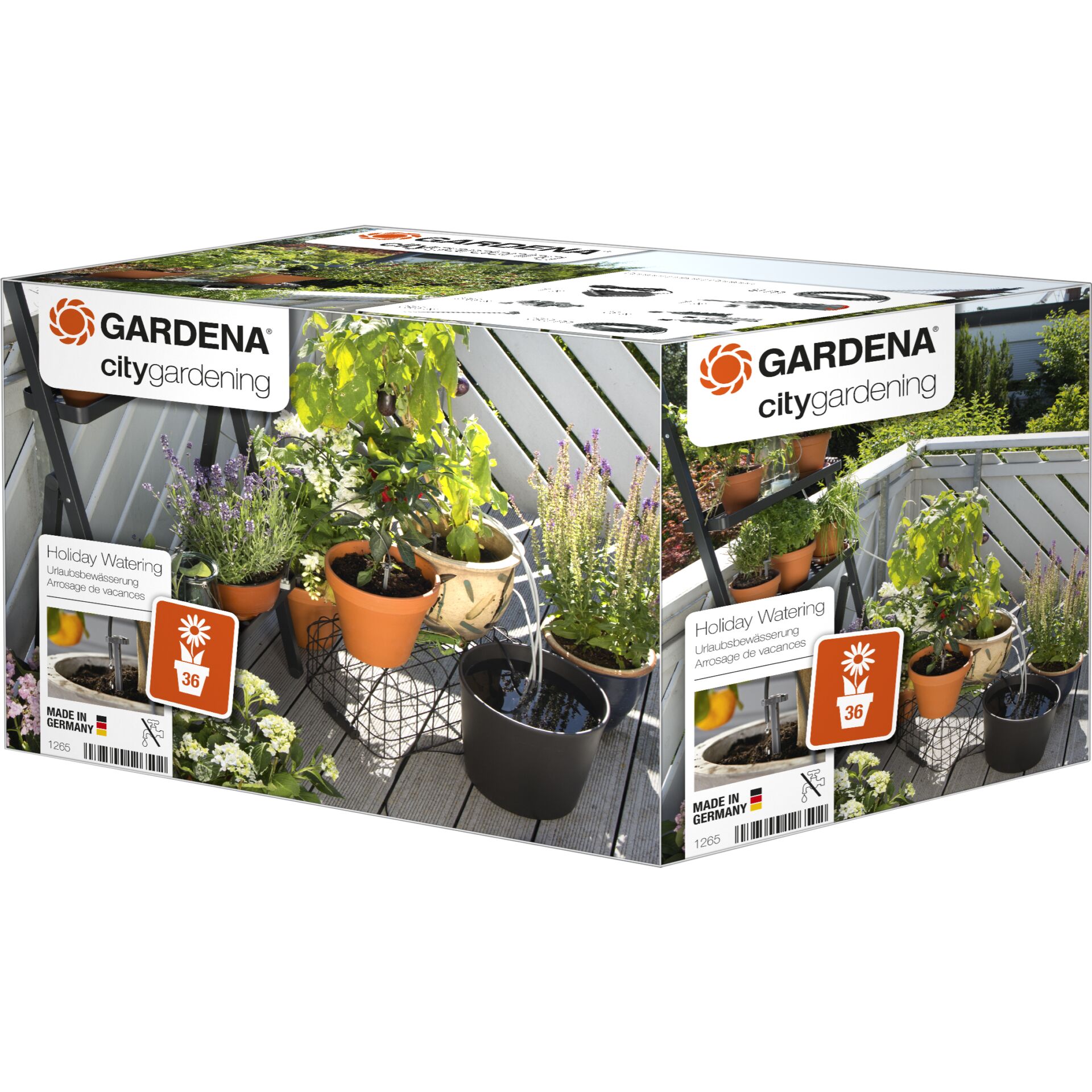 Topfpflanze, Garten, Natur, Pflanzgefäß, Gartenarbeit