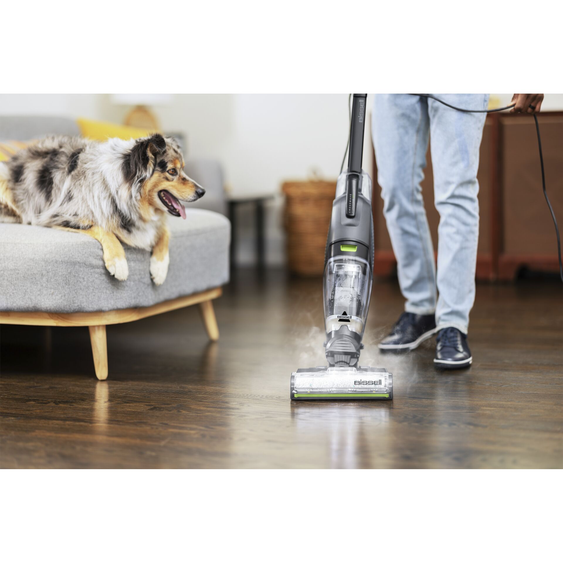 Drinnen, Innenarchitektur, Hund, Haustier, E-Scooter