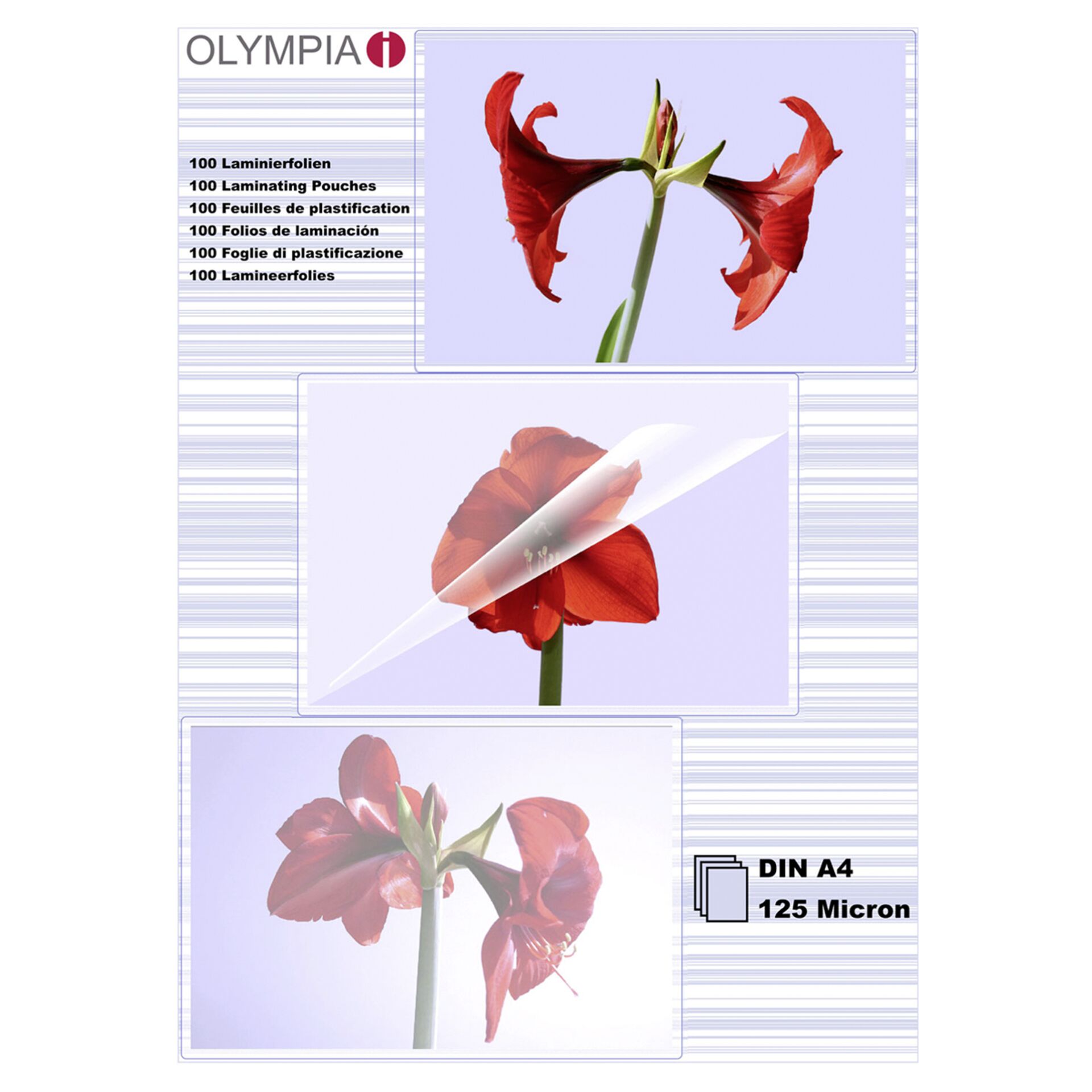 1x100 Olympia Laminierfolien  DIN A4 125 micron           9176