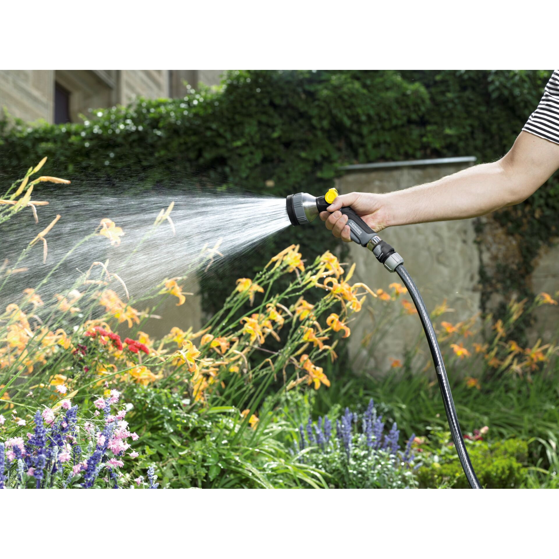 Garten, Natur, Innenarchitektur, Gras, Gartenarbeit, Garten, Natur, Innenarchitektur, Gras, Gartenarbeit