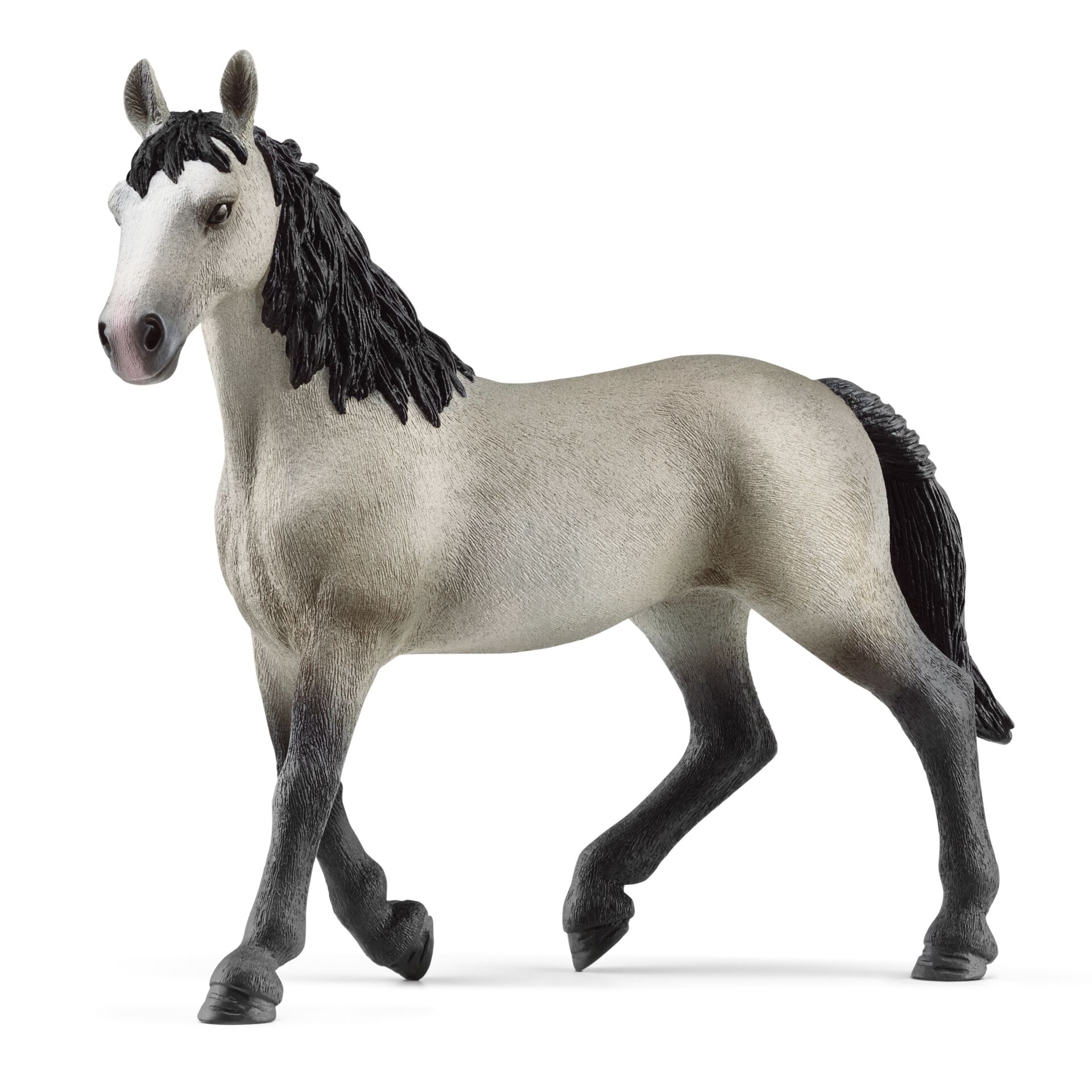 Tier, Pferd, Säugetier
