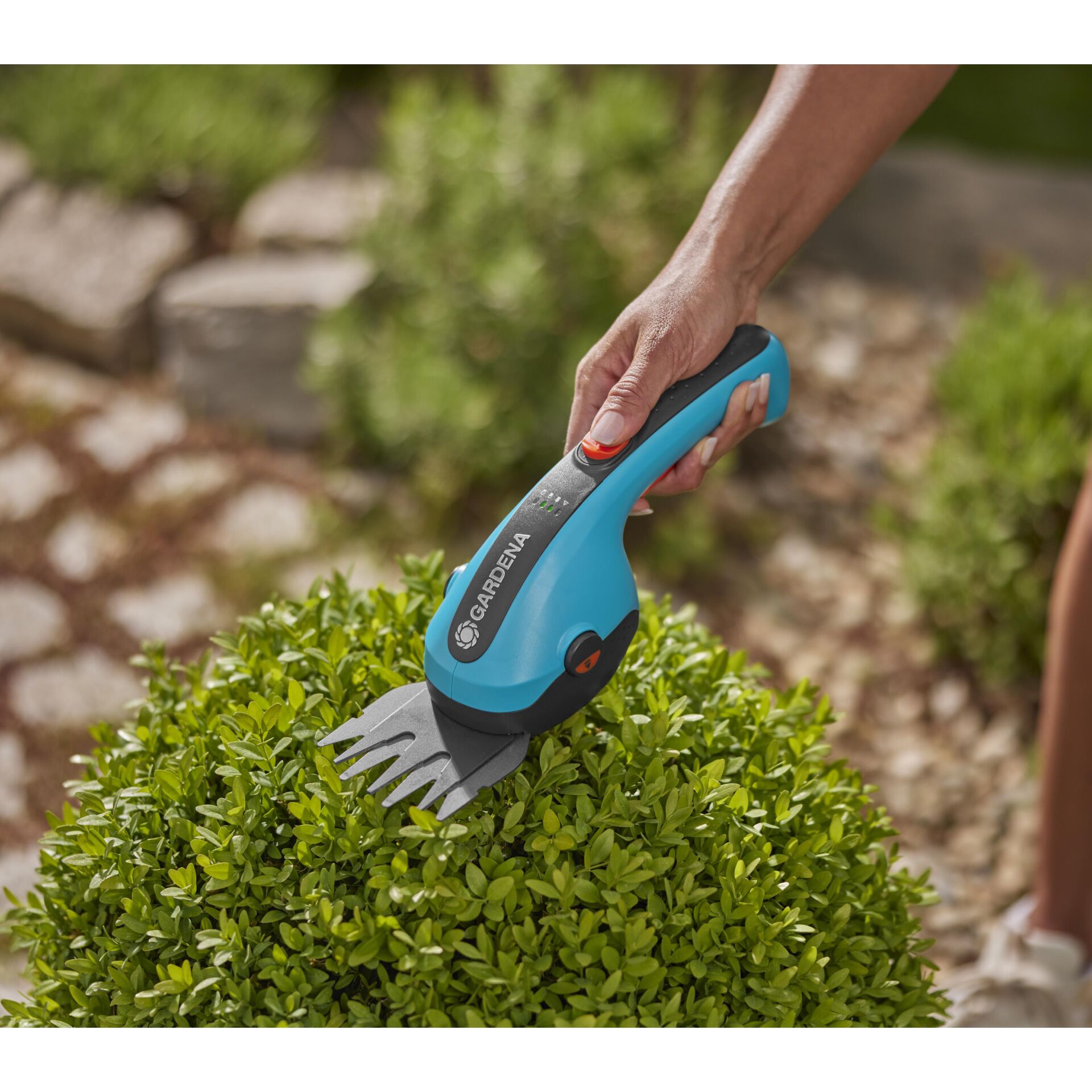 Garten, Natur, Draußen, Gartenarbeit