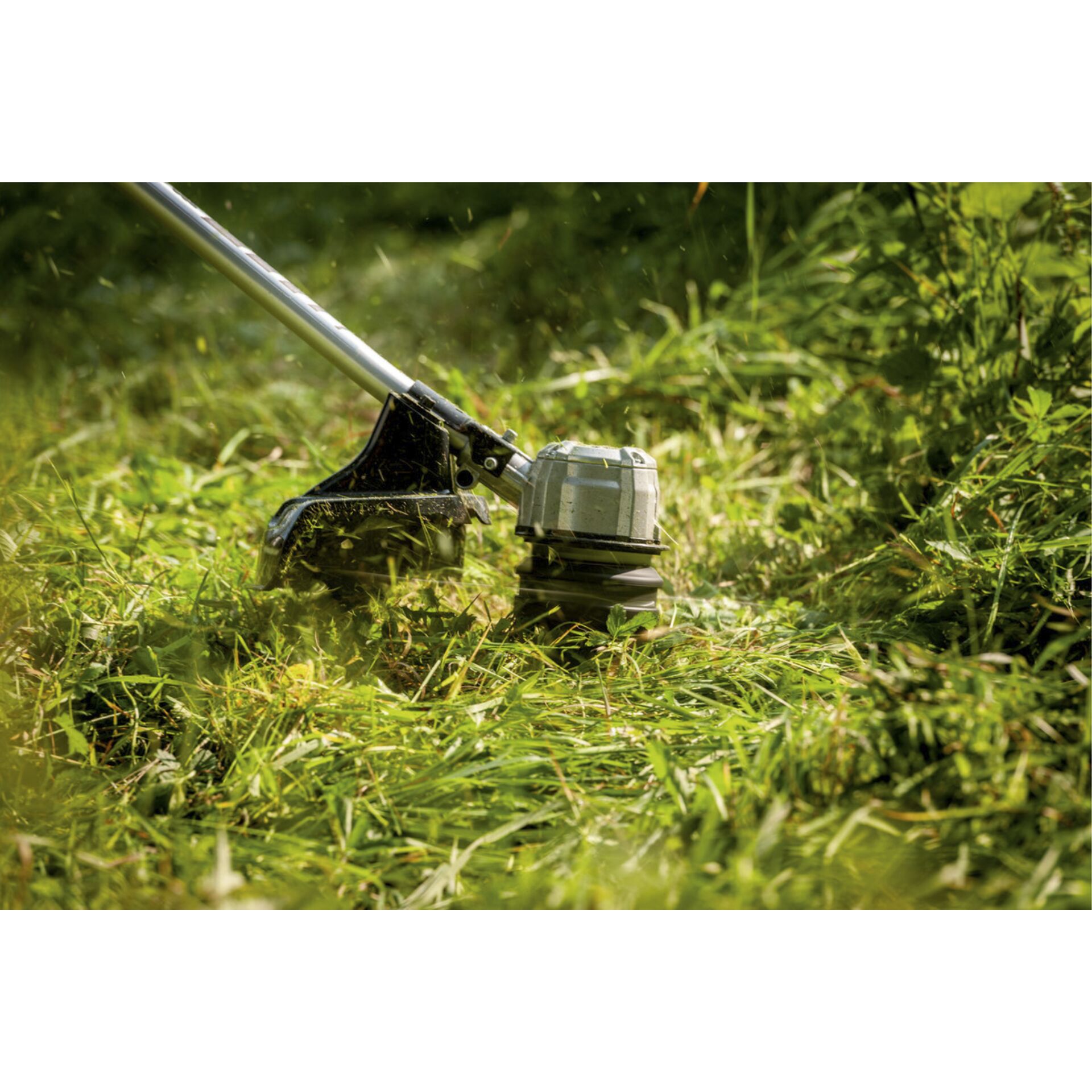 Gras, Rasen, Pflanze, Gerät, Pistole