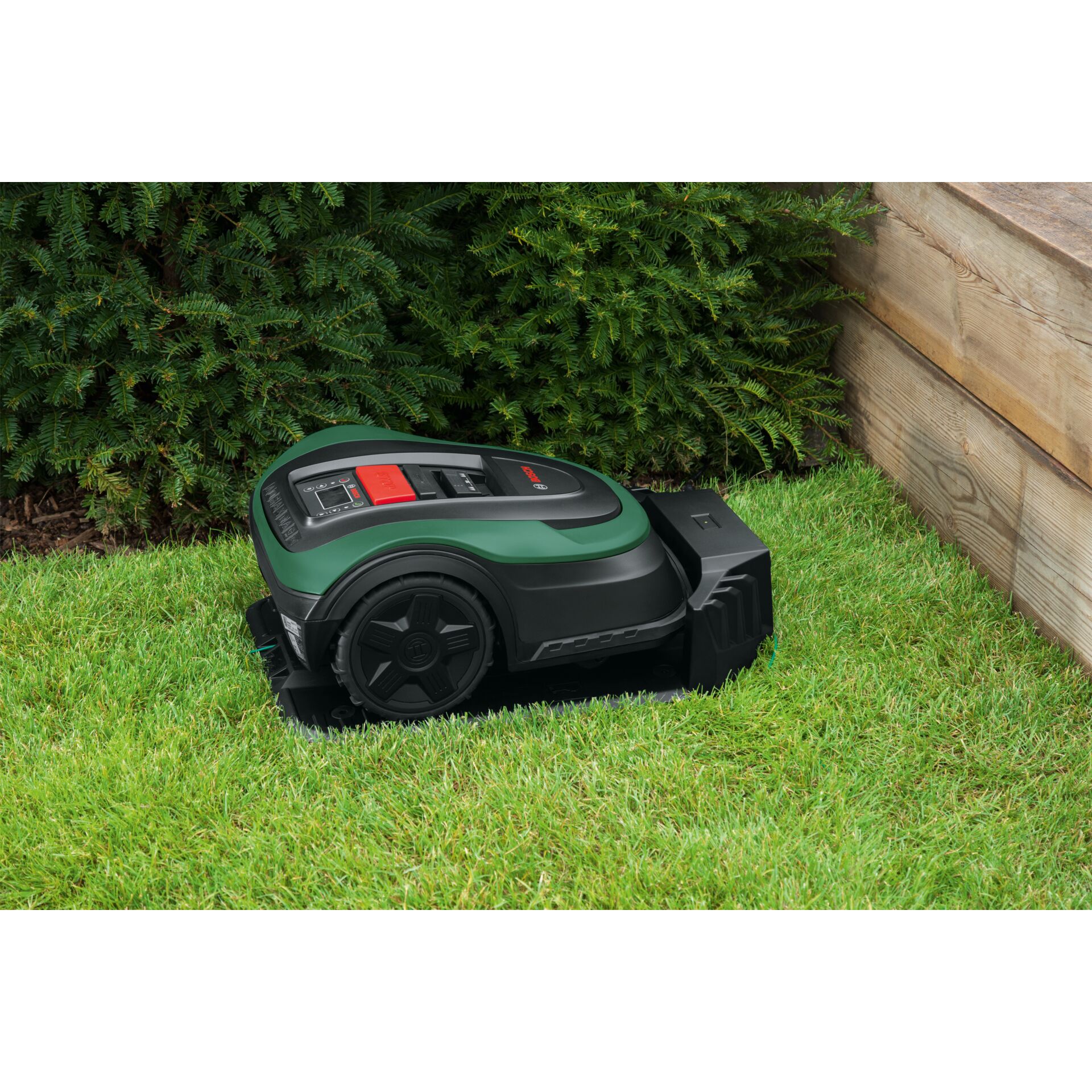 Gras, Rasen, Pflanze, Gerät, Rasenmäher