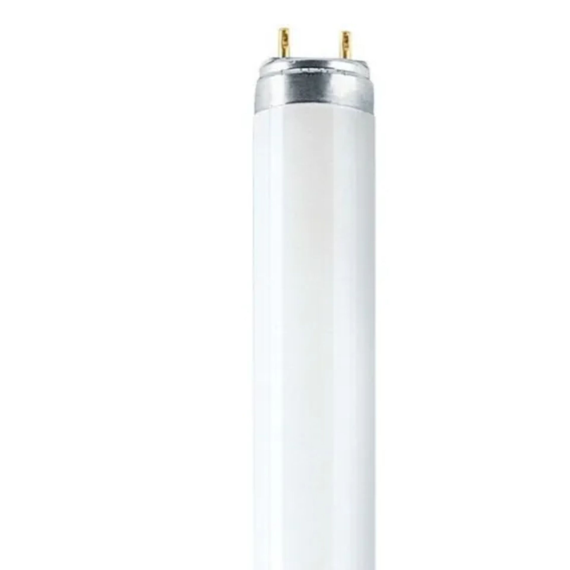 Zylinder