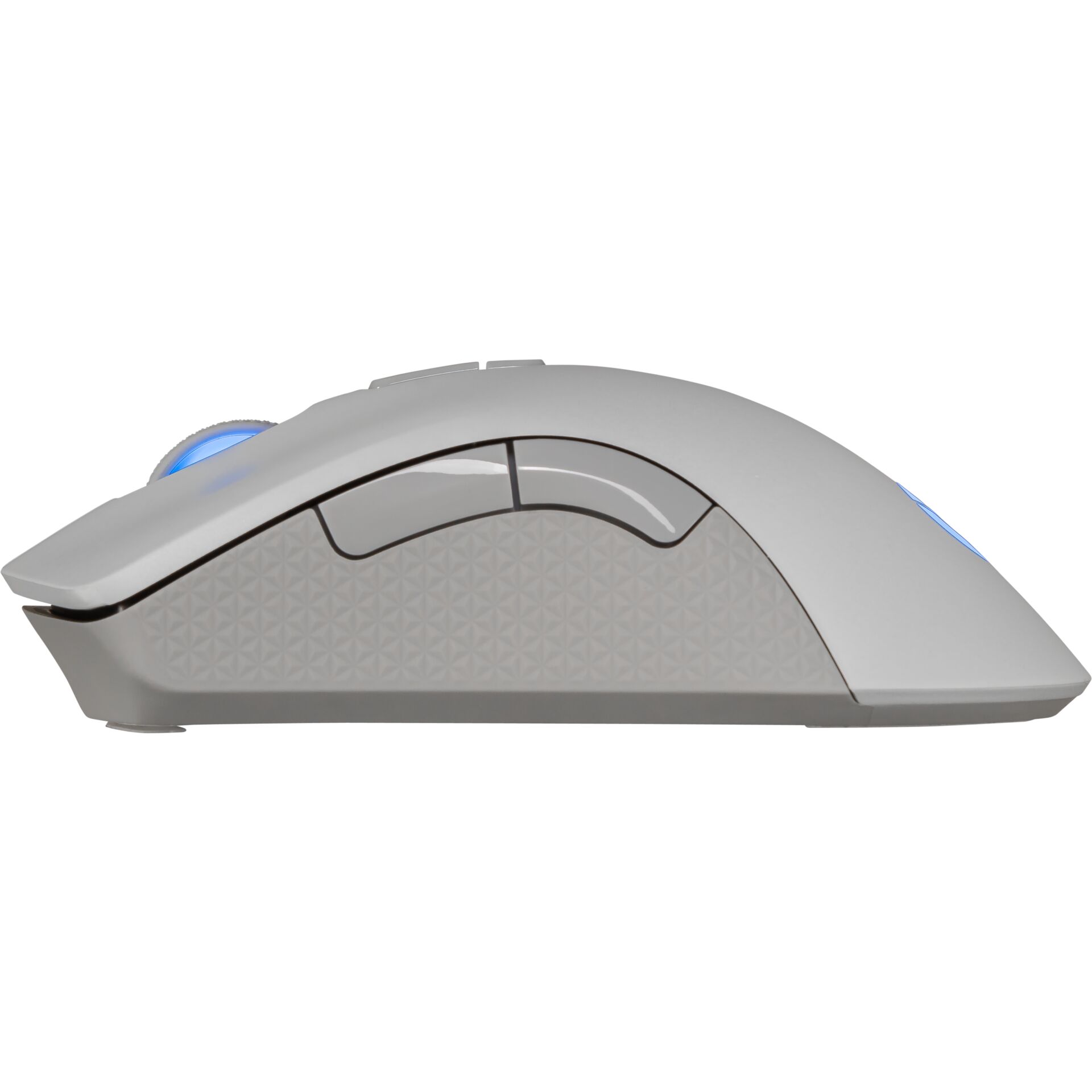 Computerausrüstung, Elektronik, Hardware, Maus