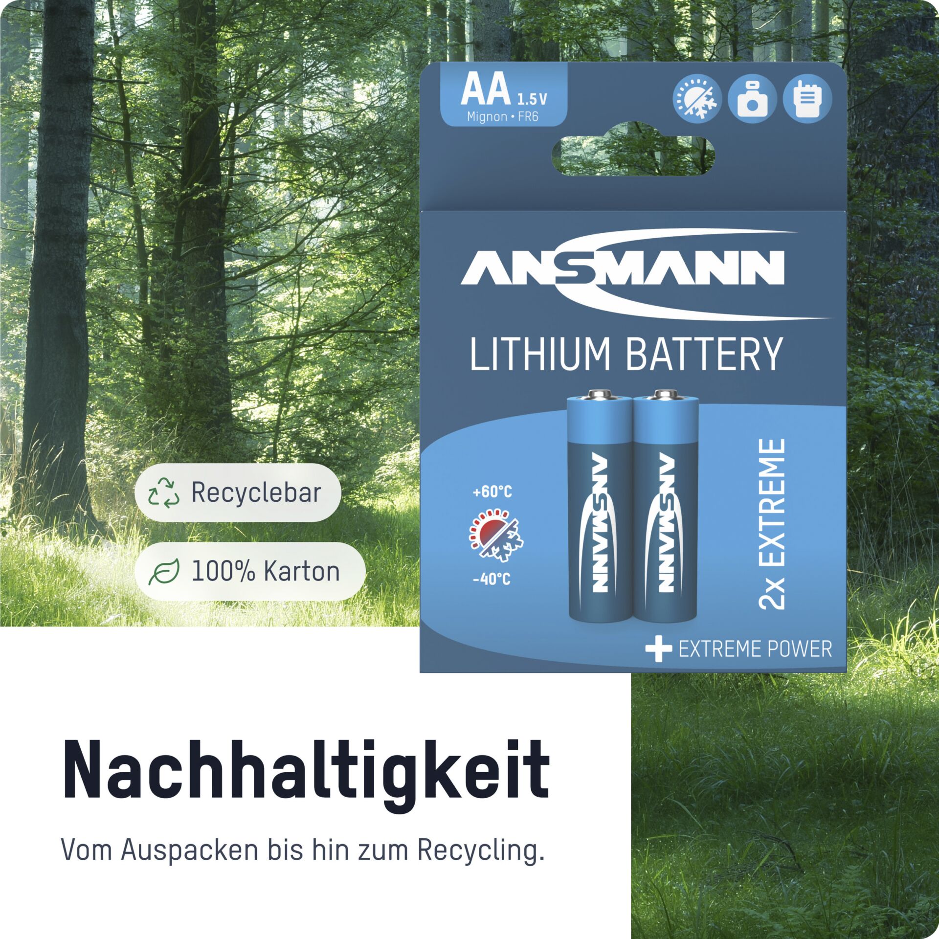 Werbung, Vegetation, Plakat, Baum, Wald