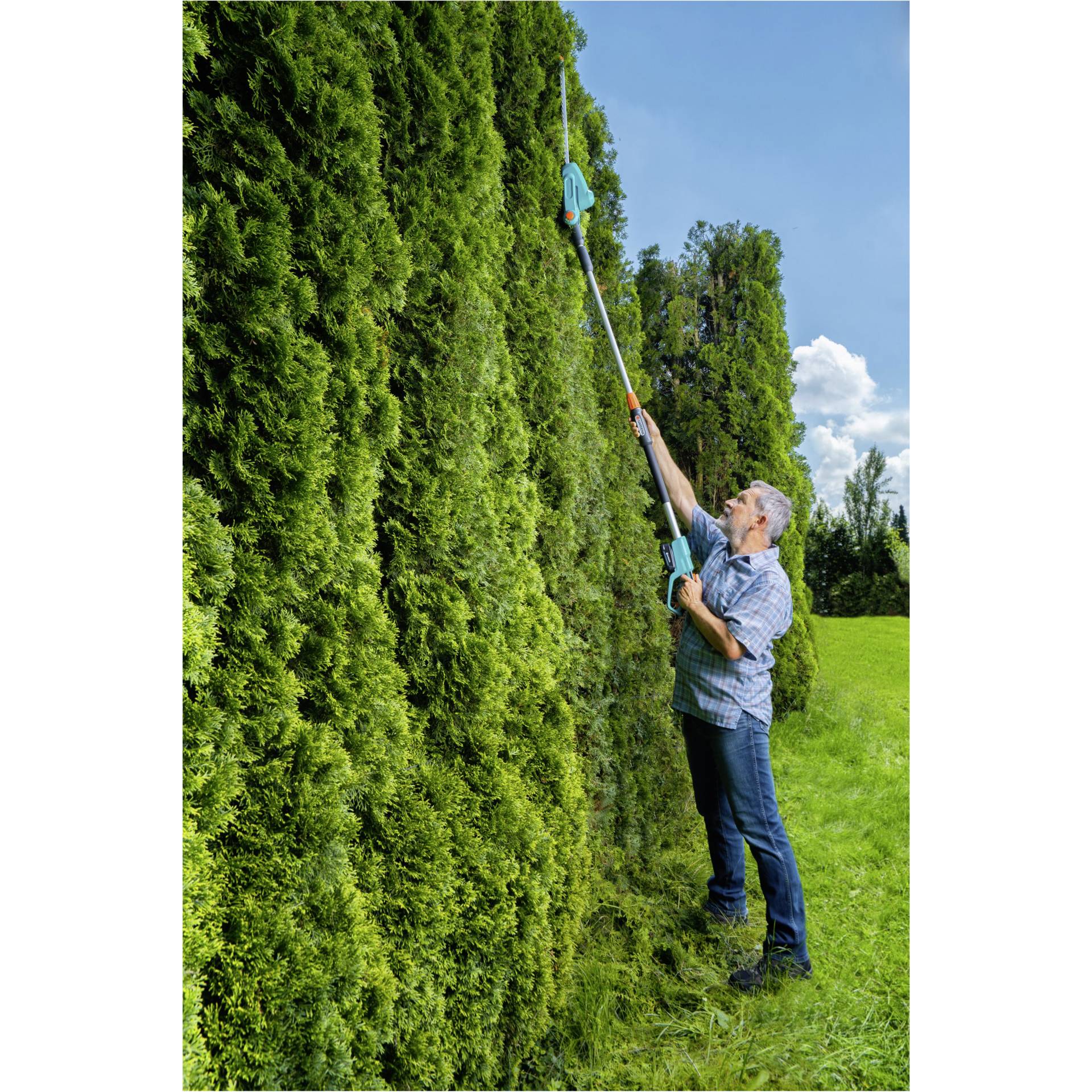 Hecke, Draußen, Garten, Person, Gartenarbeit