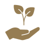 Icon Kaffeequalität