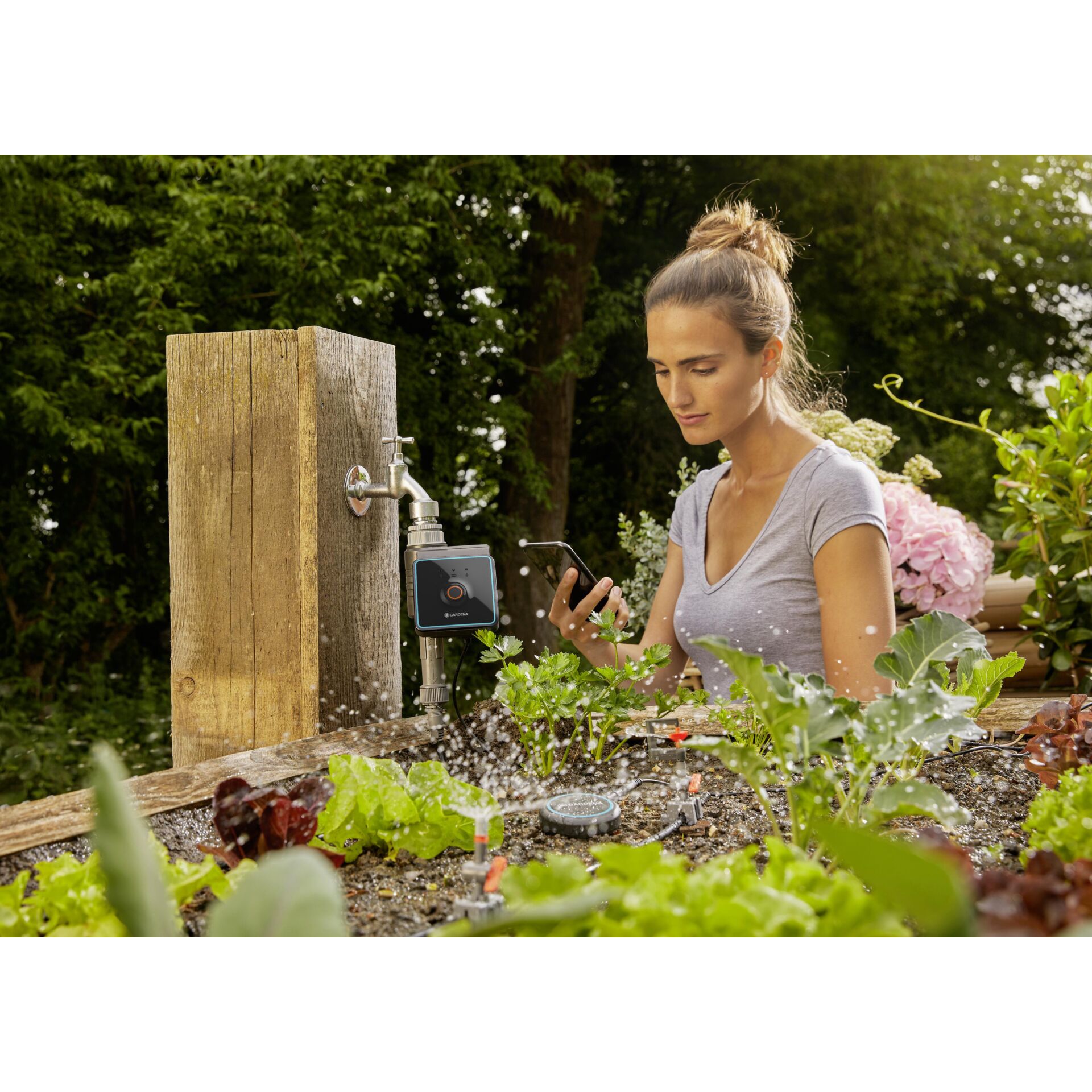 Garten, Natur, Draußen, Gartenarbeit, Person
