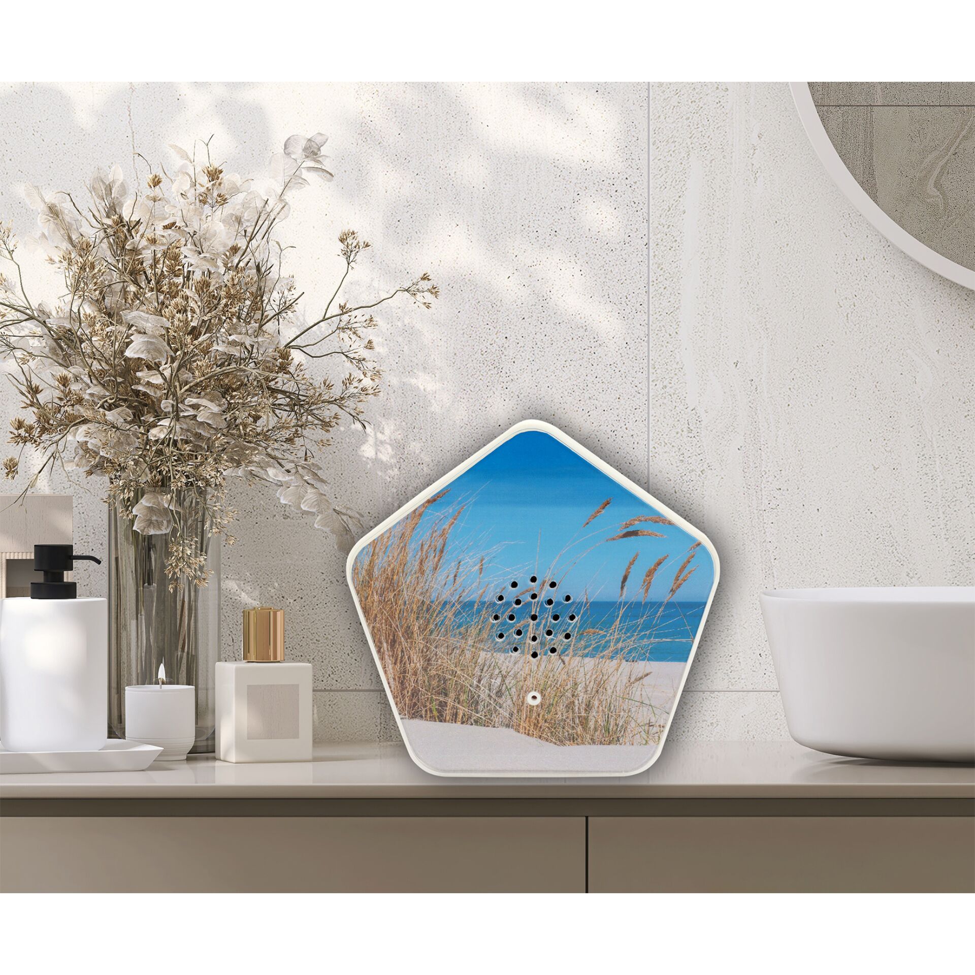 Topfpflanze, Töpferei, Innenarchitektur, Blumen-Arrangement, Glas