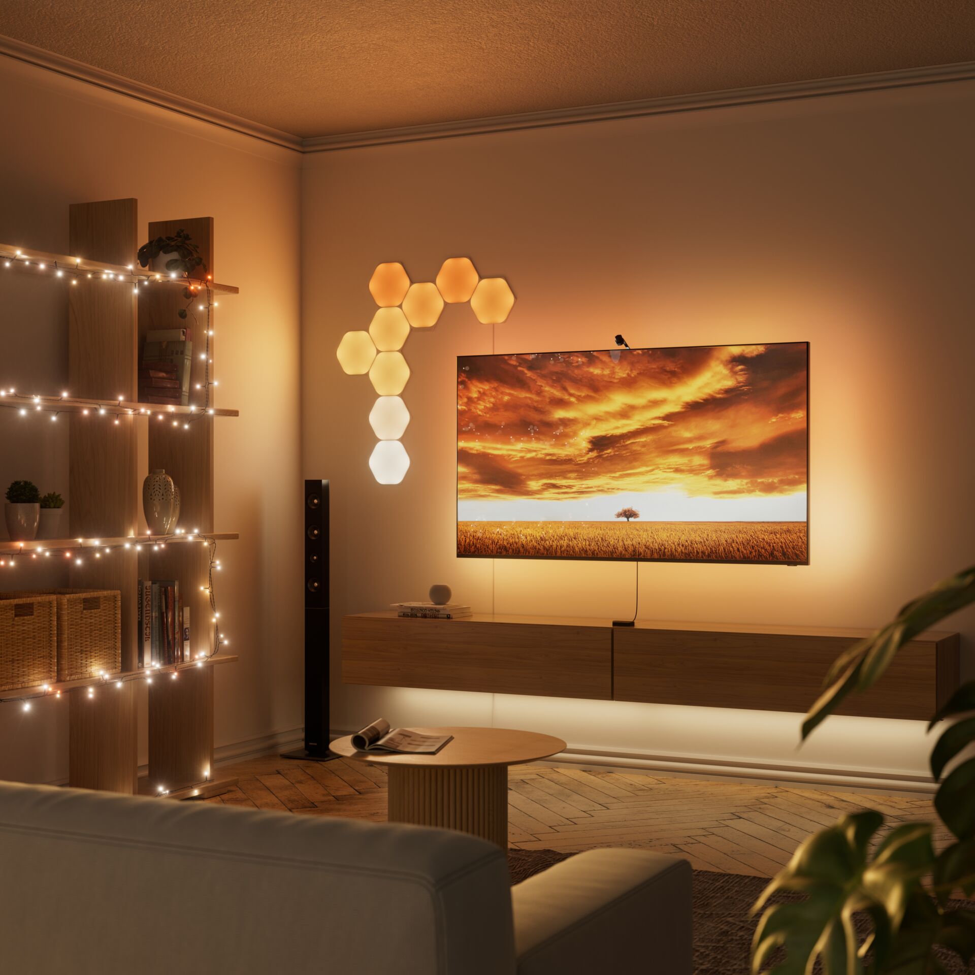 Drinnen, Innenarchitektur, Wohnzimmer, Beleuchtung, Pflanze