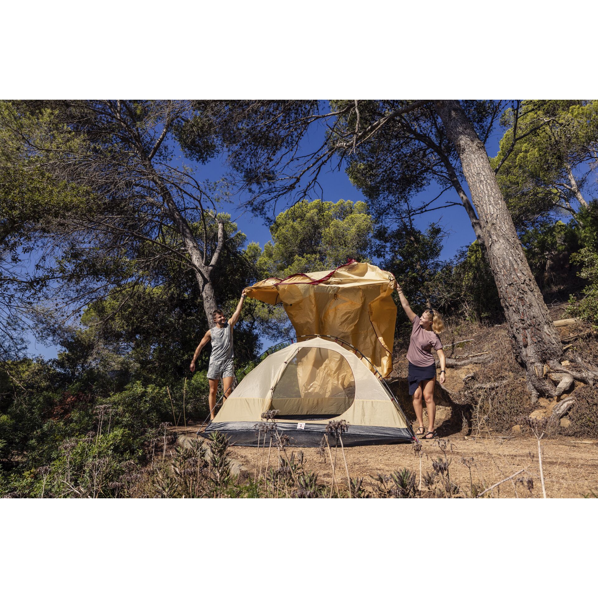 Draußen, Unterschlupf, Campen, Zelt, Person