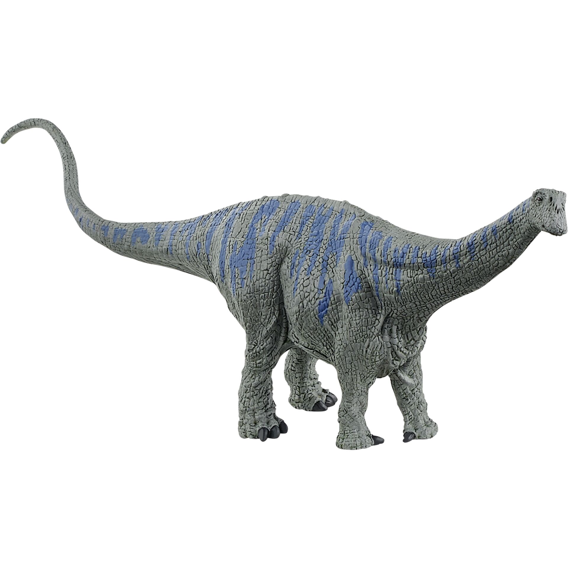 Tier, Dinosaurier, Reptil, T-Rex