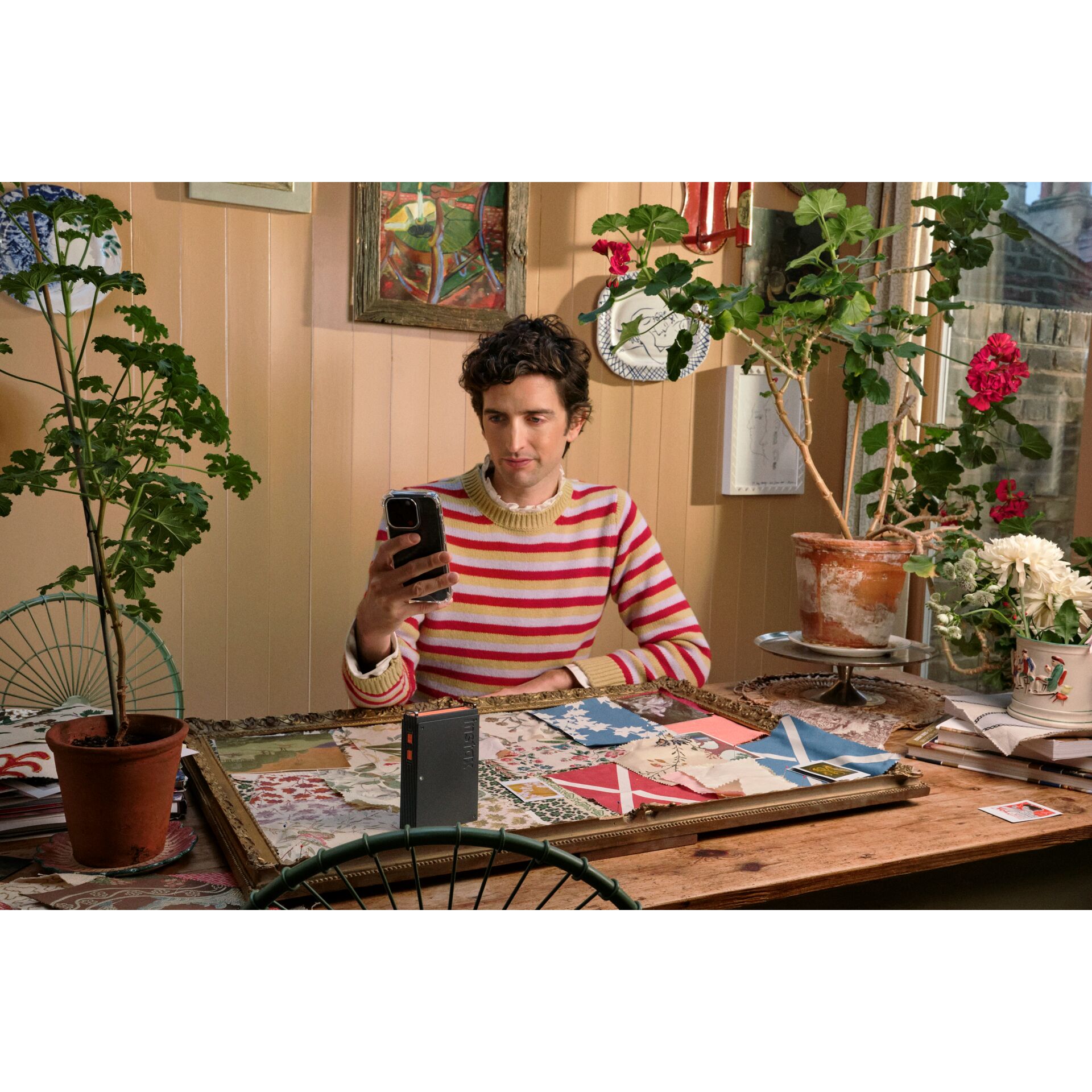 Topfpflanze, Tabelle, Esszimmer, Esstisch, Photographie