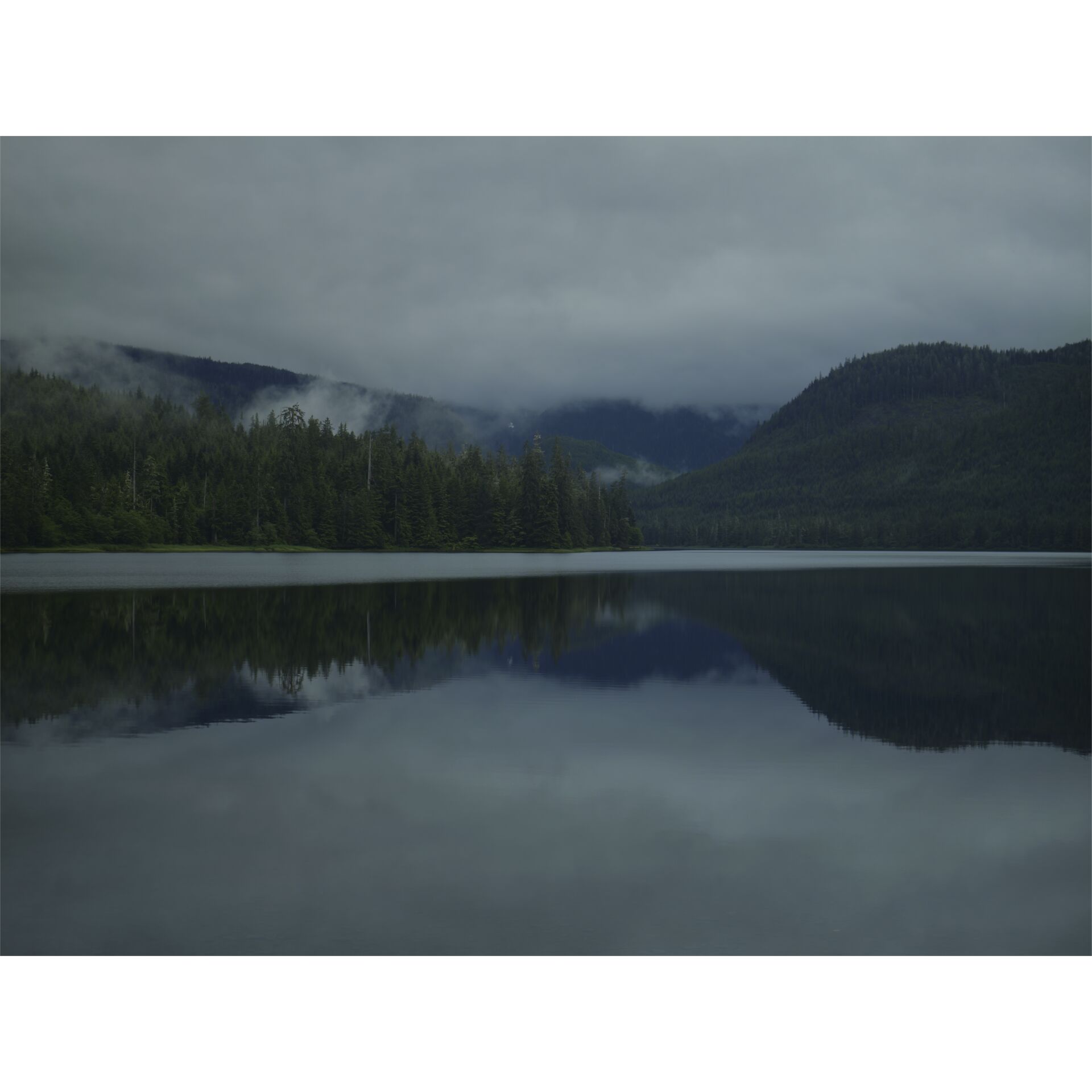 Natur, Draußen, See, Wasser, Baum