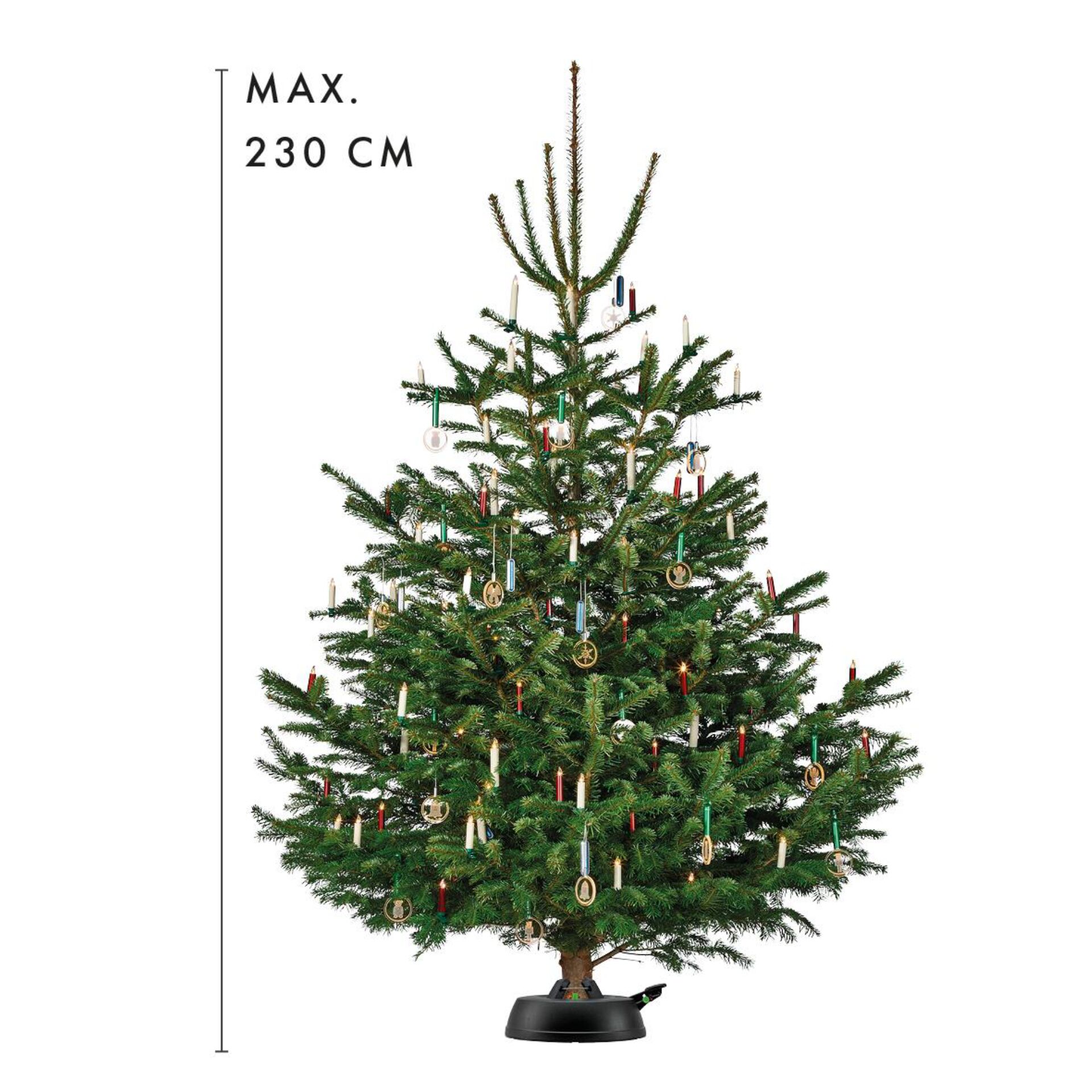 Pflanze, Baum, Kiefer, Weihnachtsdekorationen, Festival