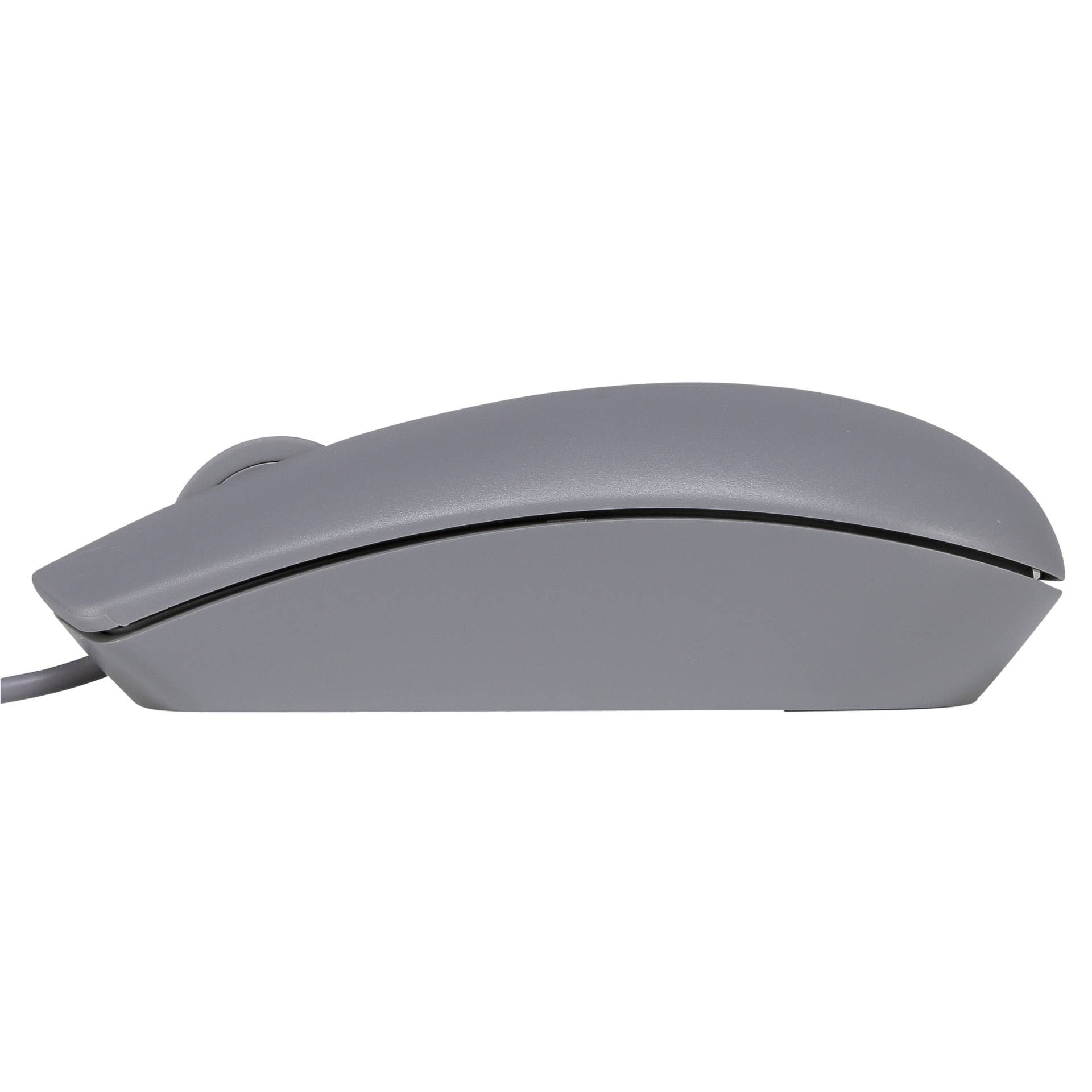 Computerausrüstung, Elektronik, Hardware, Maus