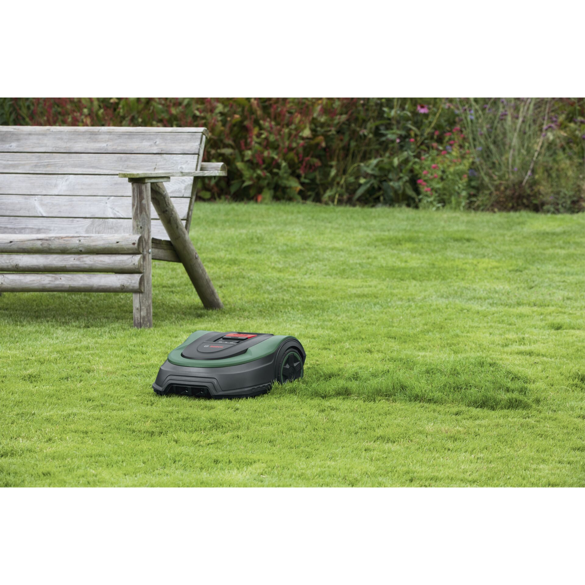 Gras, Rasen, Pflanze, Gerät, Rasenmäher