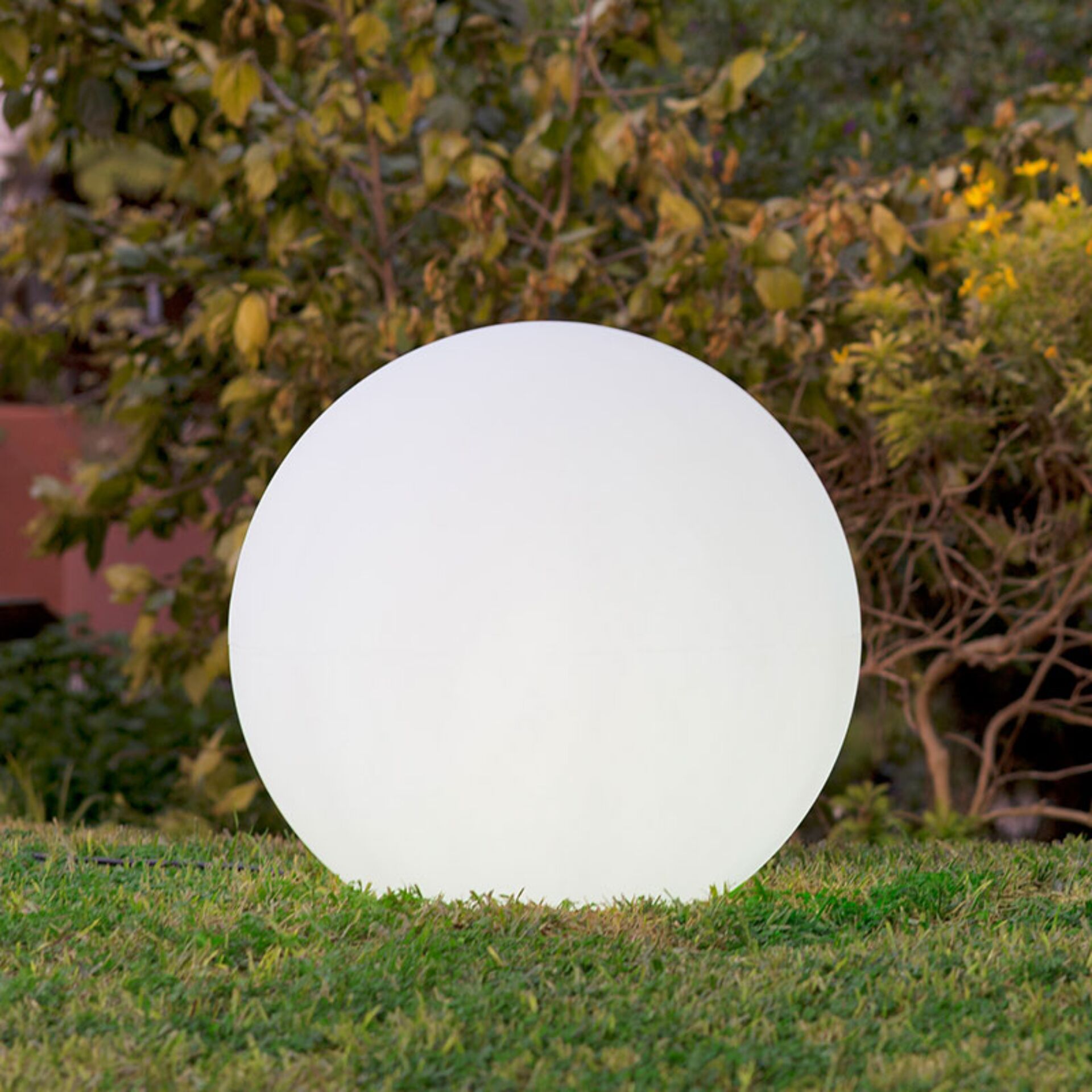Sphäre, Gras, Pflanze
