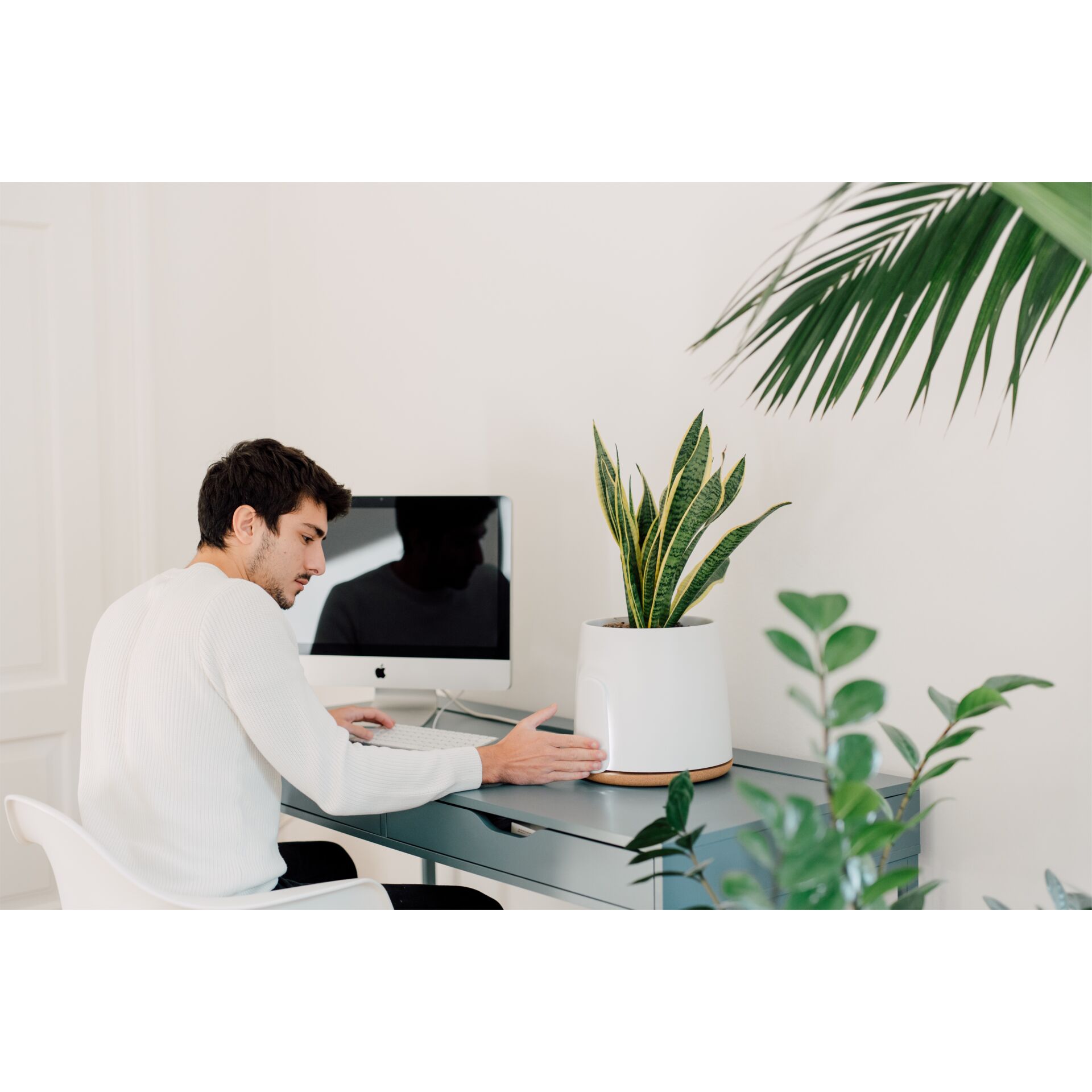 Tabelle, Schreibtisch, Erwachsener, Mann, Person