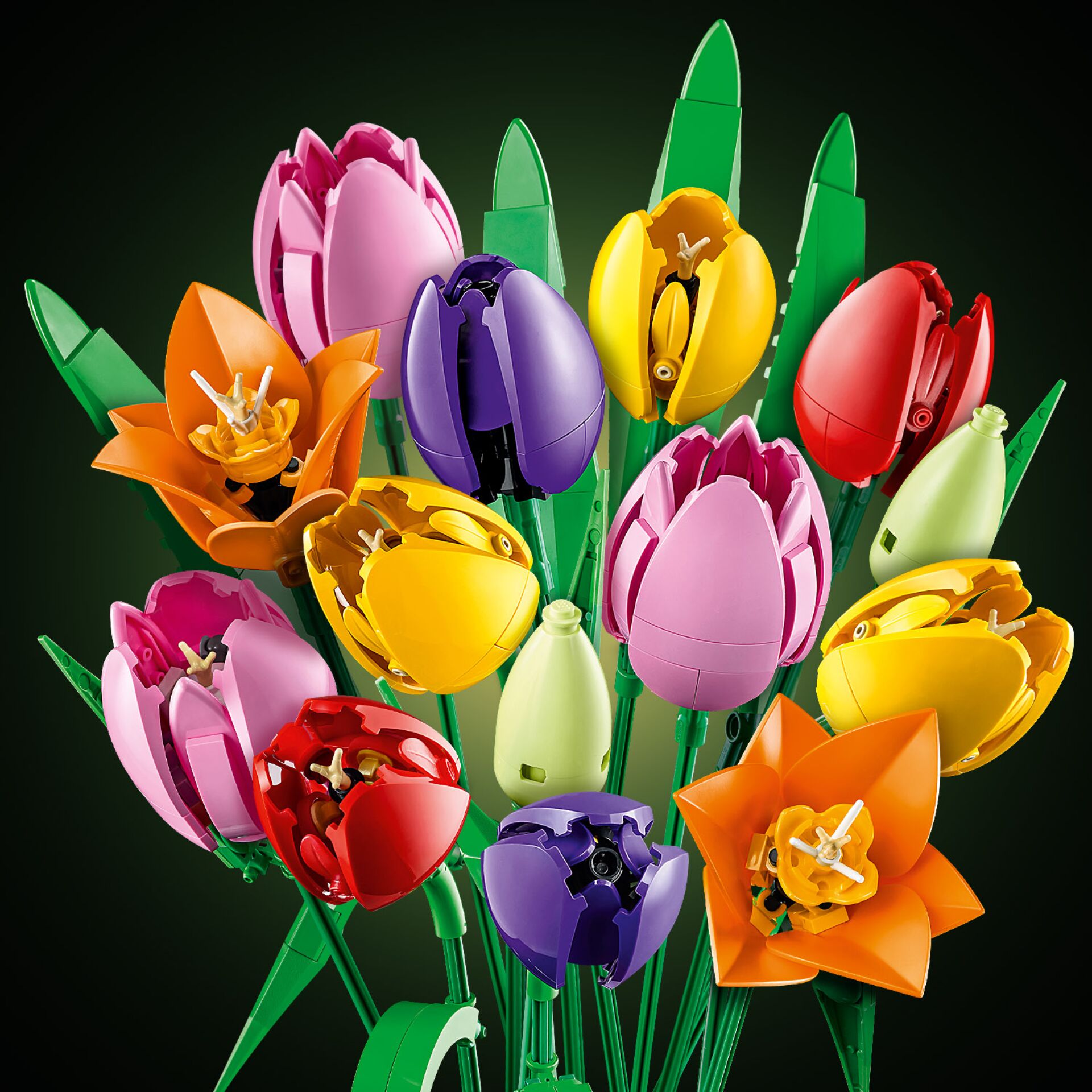 Blume, Pflanze, Blumen-Arrangement, Blumenstrauß, Tulpe